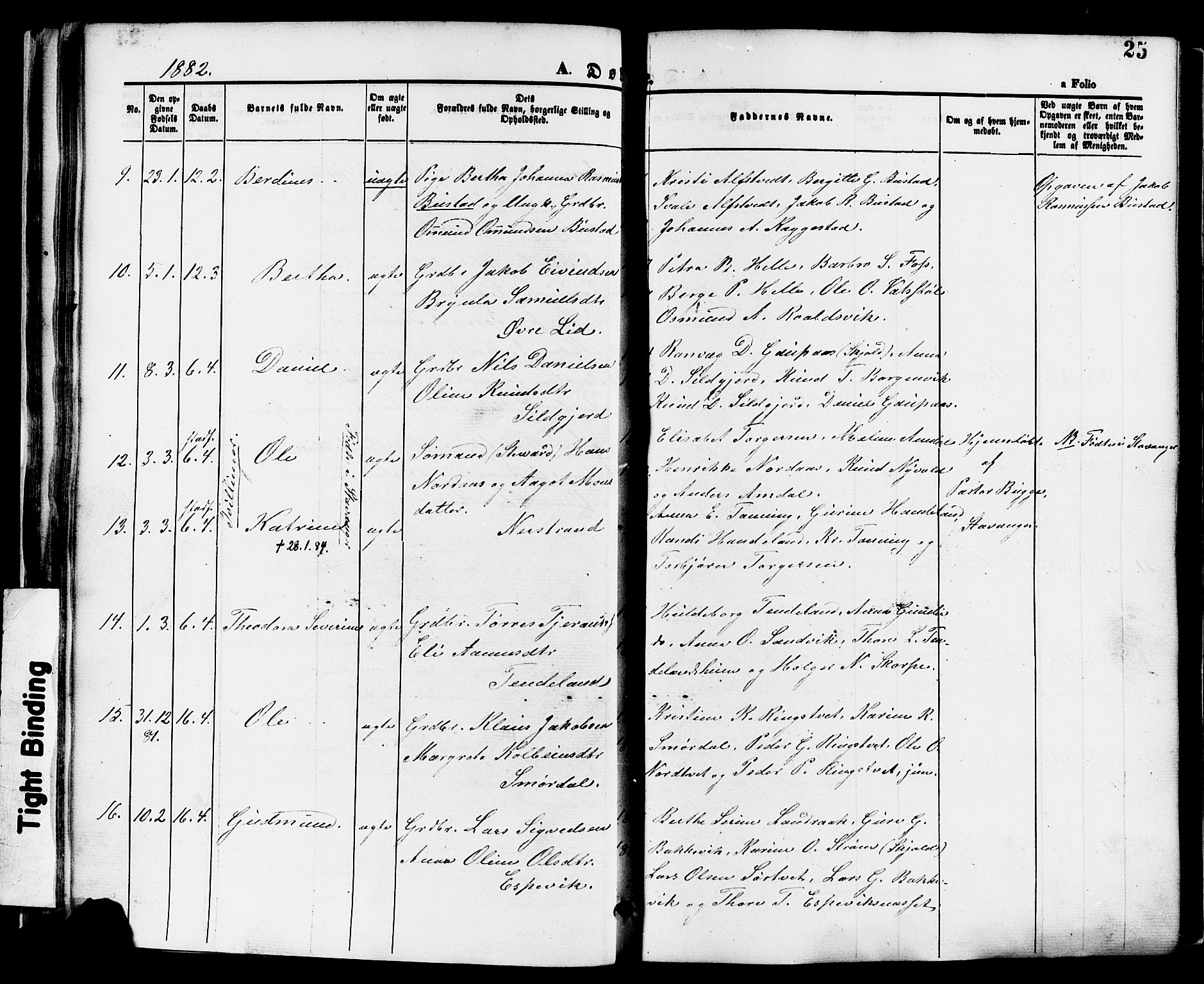 Nedstrand sokneprestkontor, SAST/A-101841/01/IV: Parish register (official) no. A 11, 1877-1887, p. 25