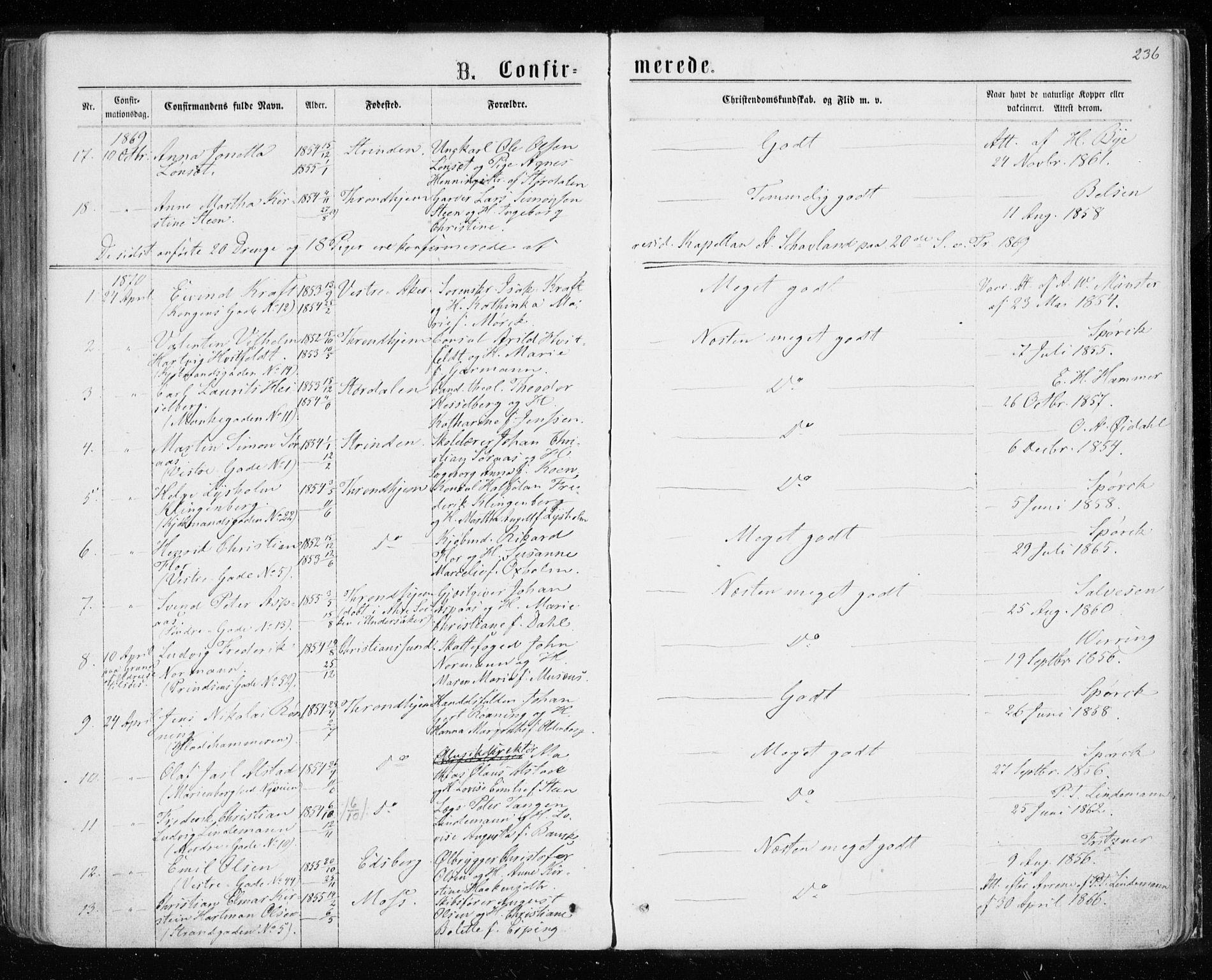 Ministerialprotokoller, klokkerbøker og fødselsregistre - Sør-Trøndelag, SAT/A-1456/601/L0054: Parish register (official) no. 601A22, 1866-1877, p. 236