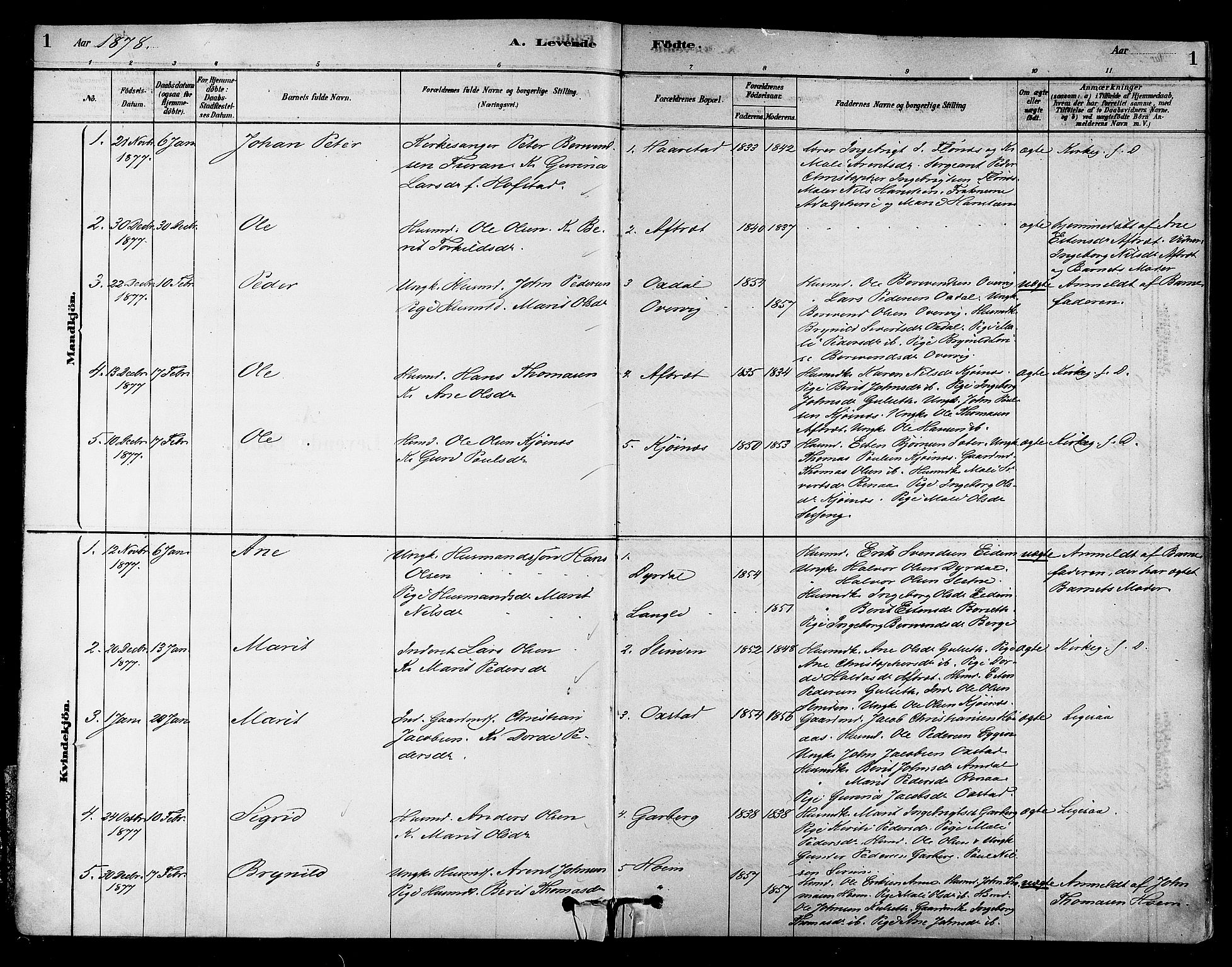 Ministerialprotokoller, klokkerbøker og fødselsregistre - Sør-Trøndelag, SAT/A-1456/695/L1148: Parish register (official) no. 695A08, 1878-1891, p. 1