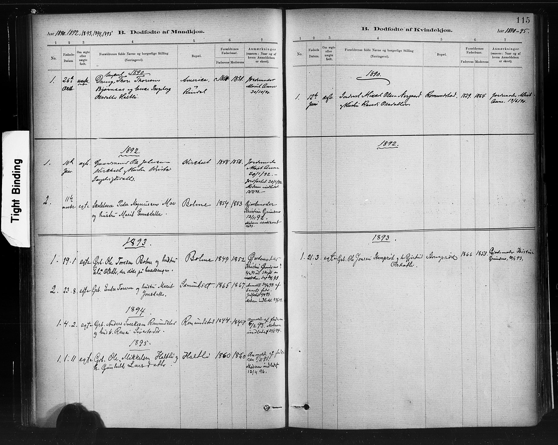 Ministerialprotokoller, klokkerbøker og fødselsregistre - Møre og Romsdal, AV/SAT-A-1454/598/L1069: Parish register (official) no. 598A03, 1882-1895, p. 115