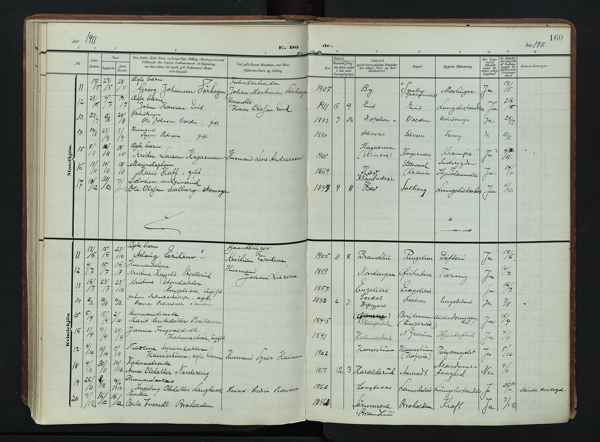 Søndre Land prestekontor, SAH/PREST-122/K/L0007: Parish register (official) no. 7, 1905-1914, p. 160