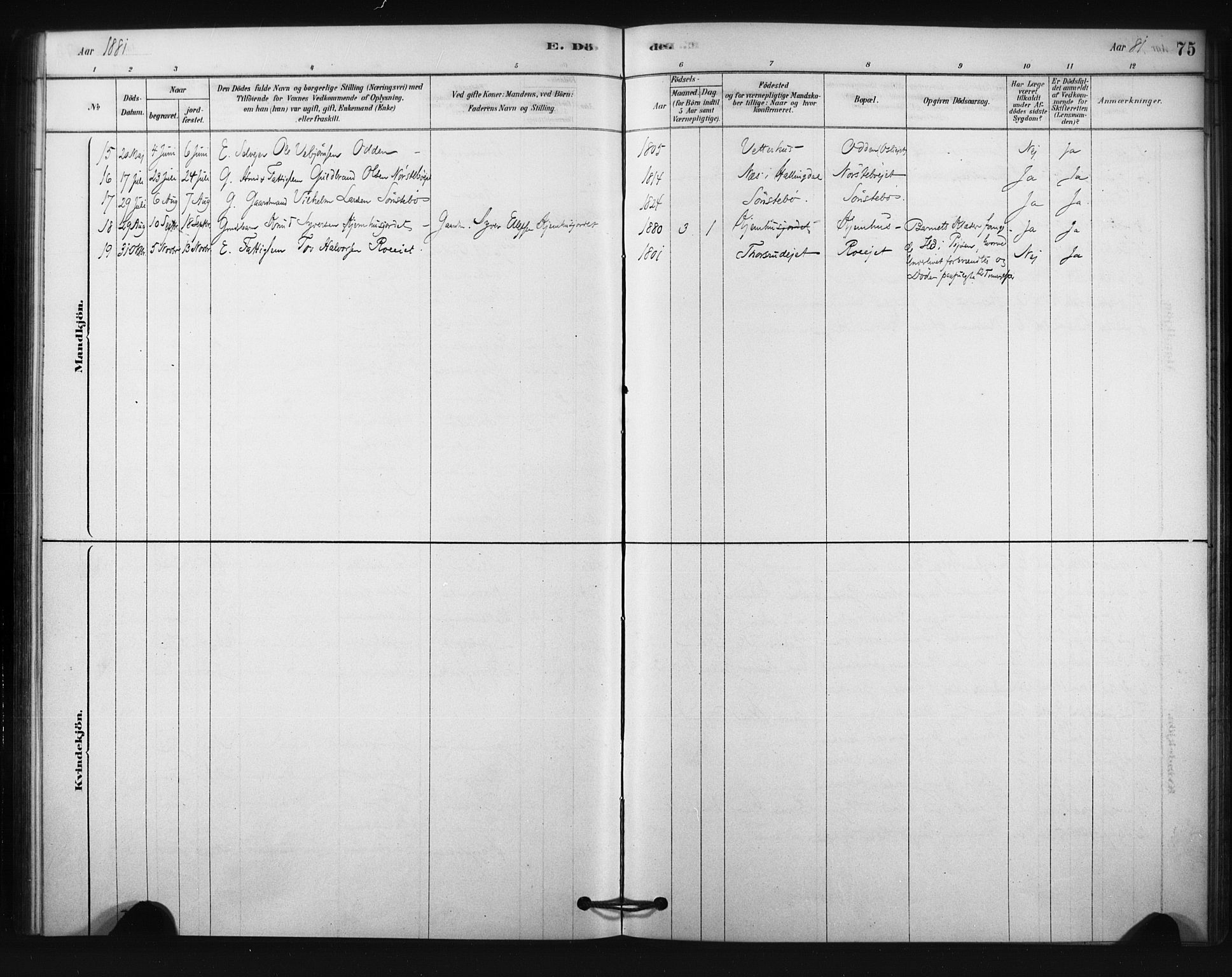Nore kirkebøker, SAKO/A-238/F/Fc/L0003: Parish register (official) no. III 3, 1878-1884, p. 75