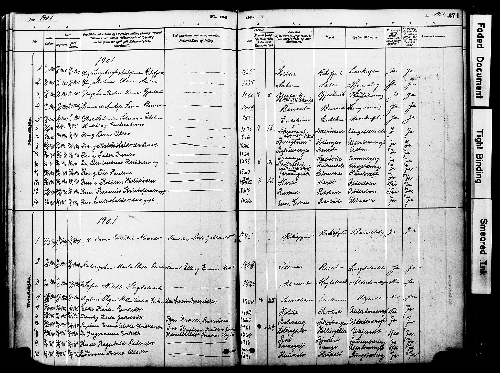 Ministerialprotokoller, klokkerbøker og fødselsregistre - Møre og Romsdal, SAT/A-1454/560/L0721: Parish register (official) no. 560A05, 1878-1917, p. 371