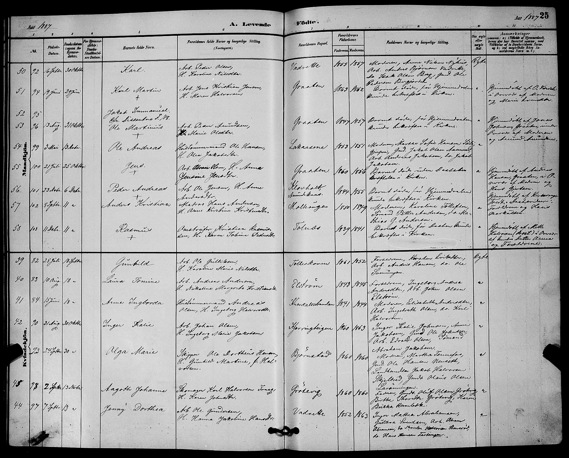 Solum kirkebøker, AV/SAKO-A-306/G/Ga/L0007: Parish register (copy) no. I 7, 1884-1898, p. 25