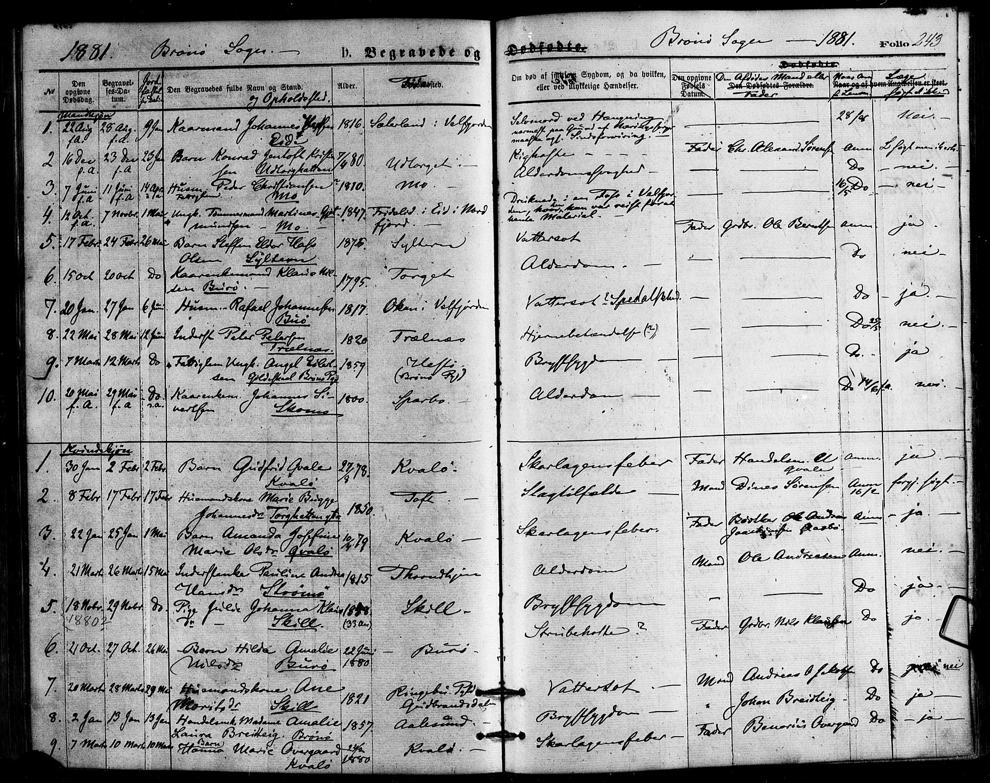Ministerialprotokoller, klokkerbøker og fødselsregistre - Nordland, SAT/A-1459/813/L0199: Parish register (official) no. 813A09, 1875-1885, p. 243