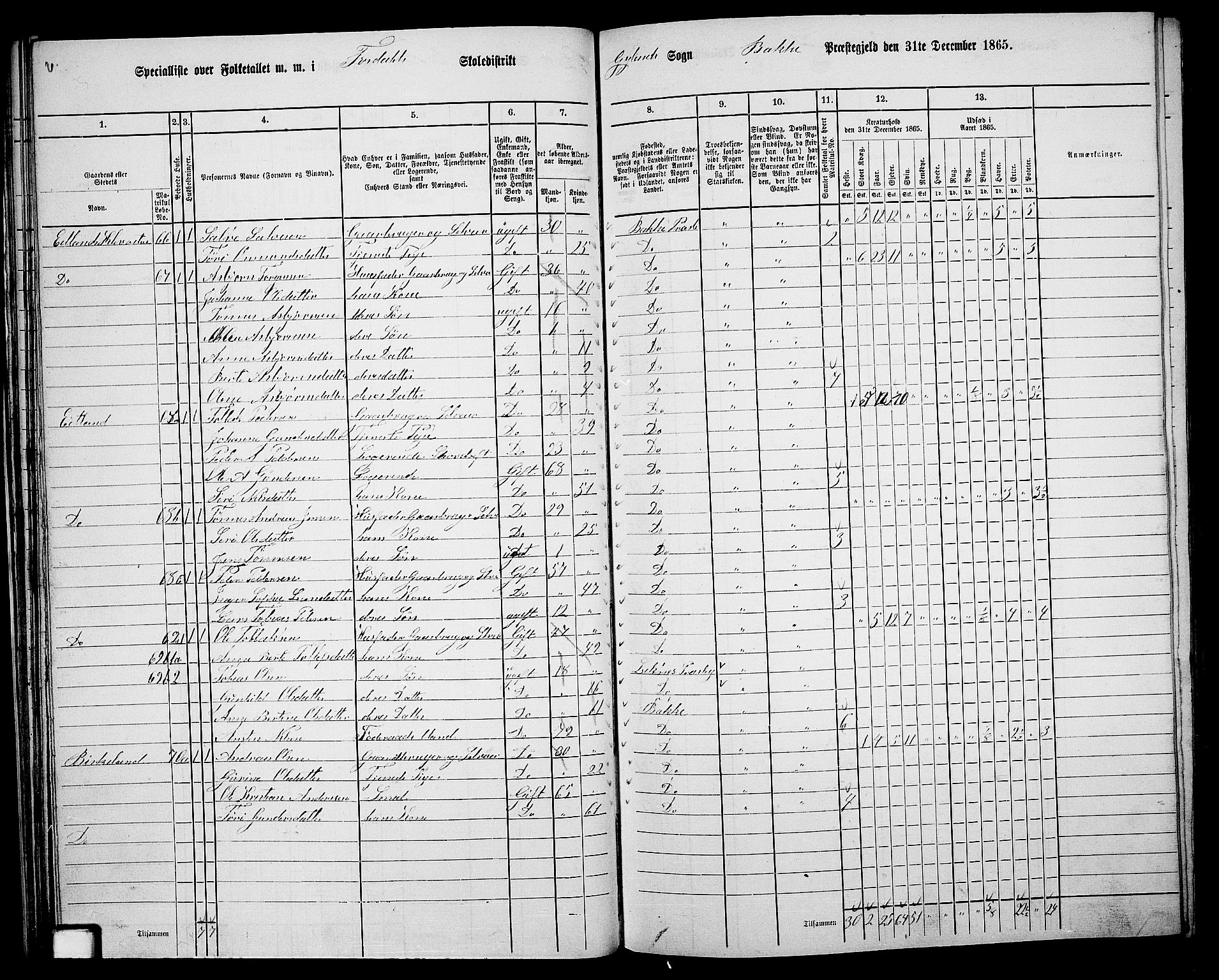 RA, 1865 census for Bakke, 1865, p. 35