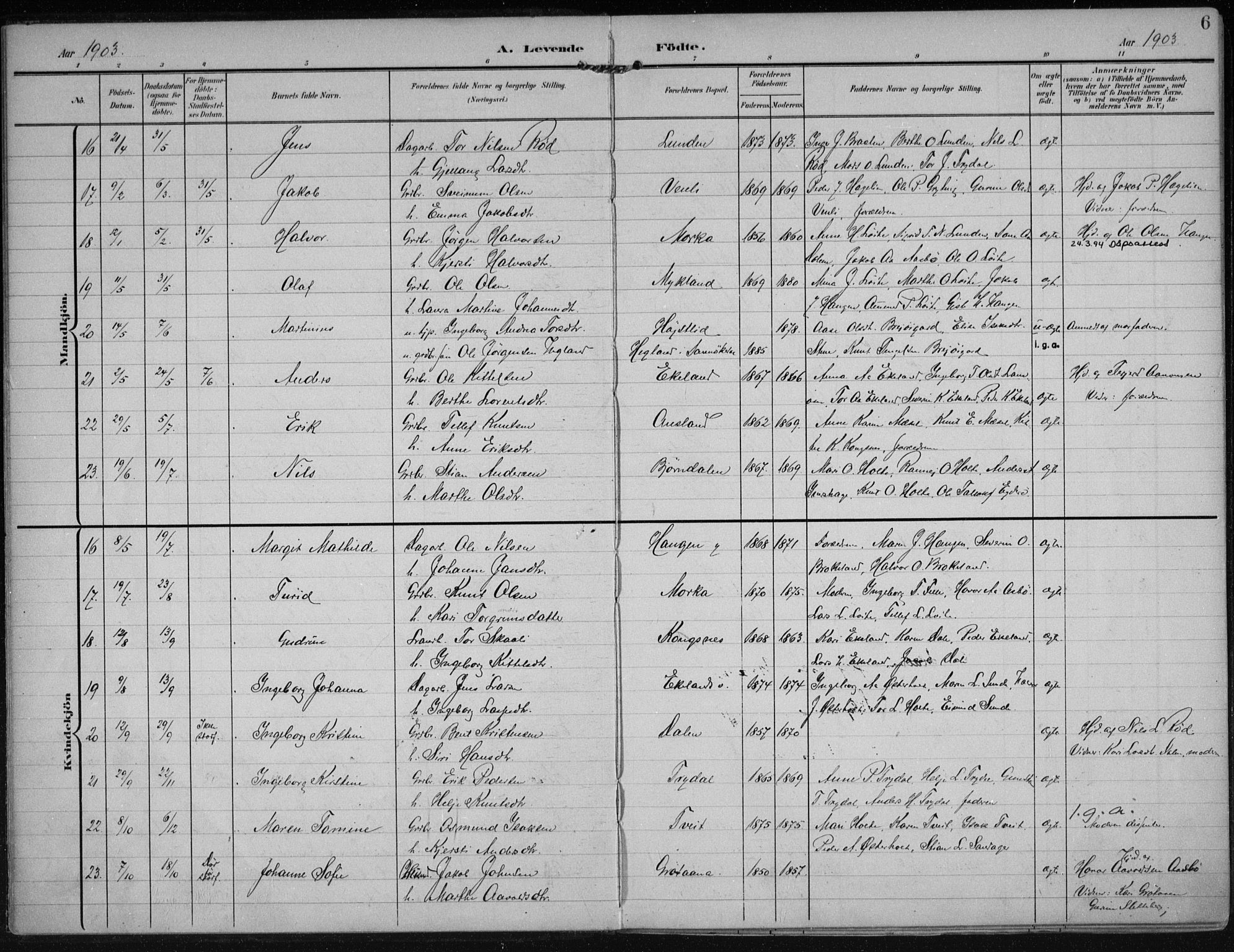 Gjerstad sokneprestkontor, AV/SAK-1111-0014/F/Fa/Faa/L0011: Parish register (official) no. A 11, 1903-1914, p. 6