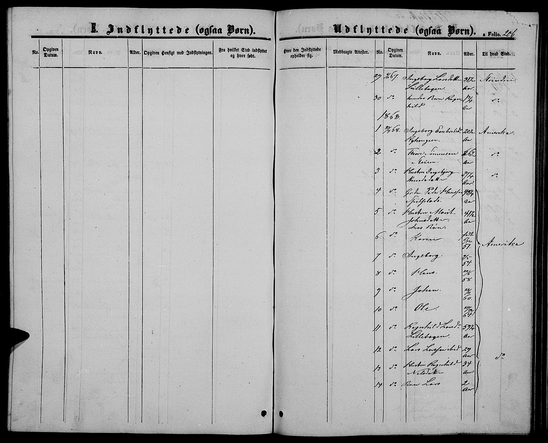 Alvdal prestekontor, SAH/PREST-060/H/Ha/Hab/L0002: Parish register (copy) no. 2, 1863-1878, p. 206