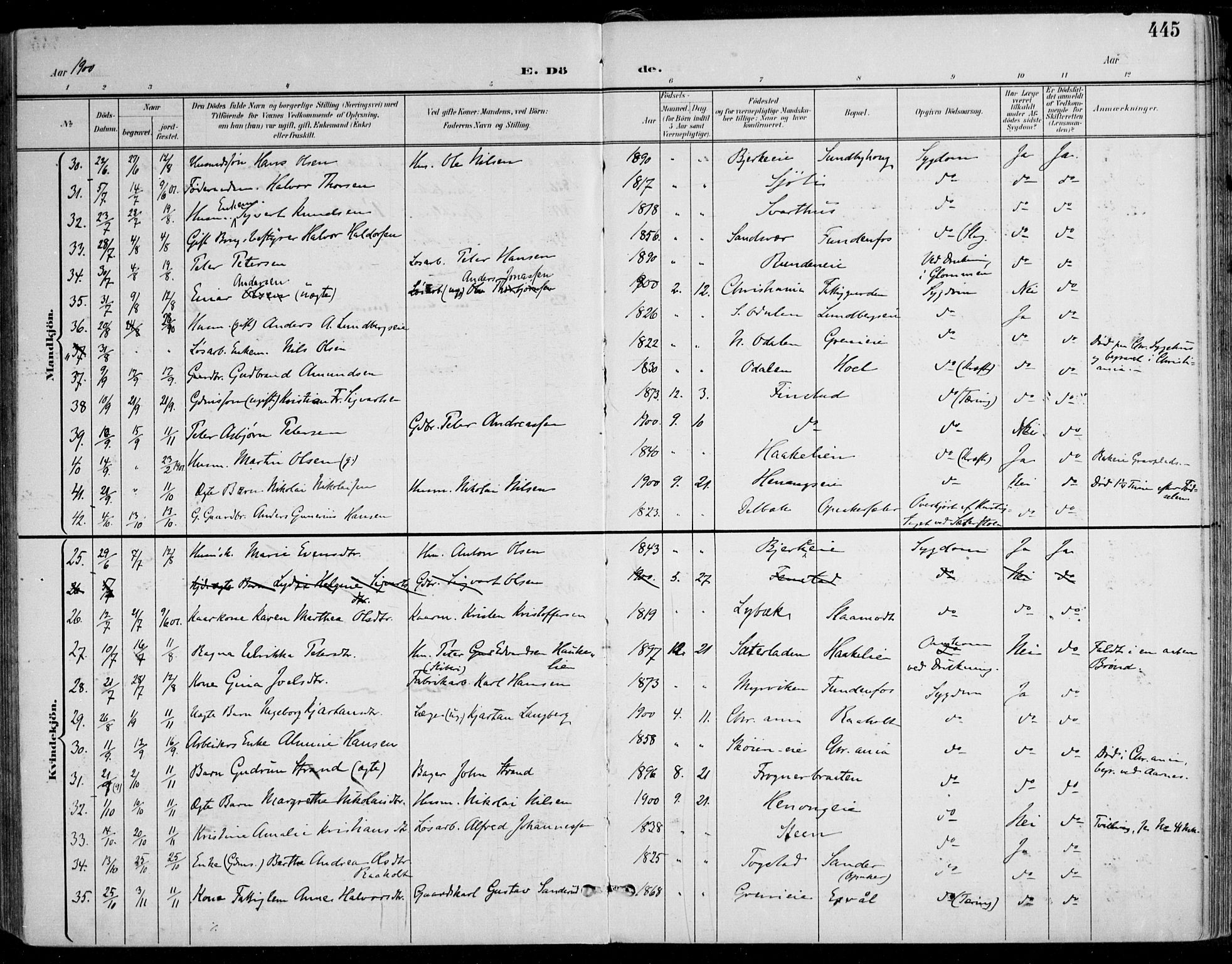 Nes prestekontor Kirkebøker, SAO/A-10410/F/Fa/L0011: Parish register (official) no. I 11, 1899-1918, p. 445