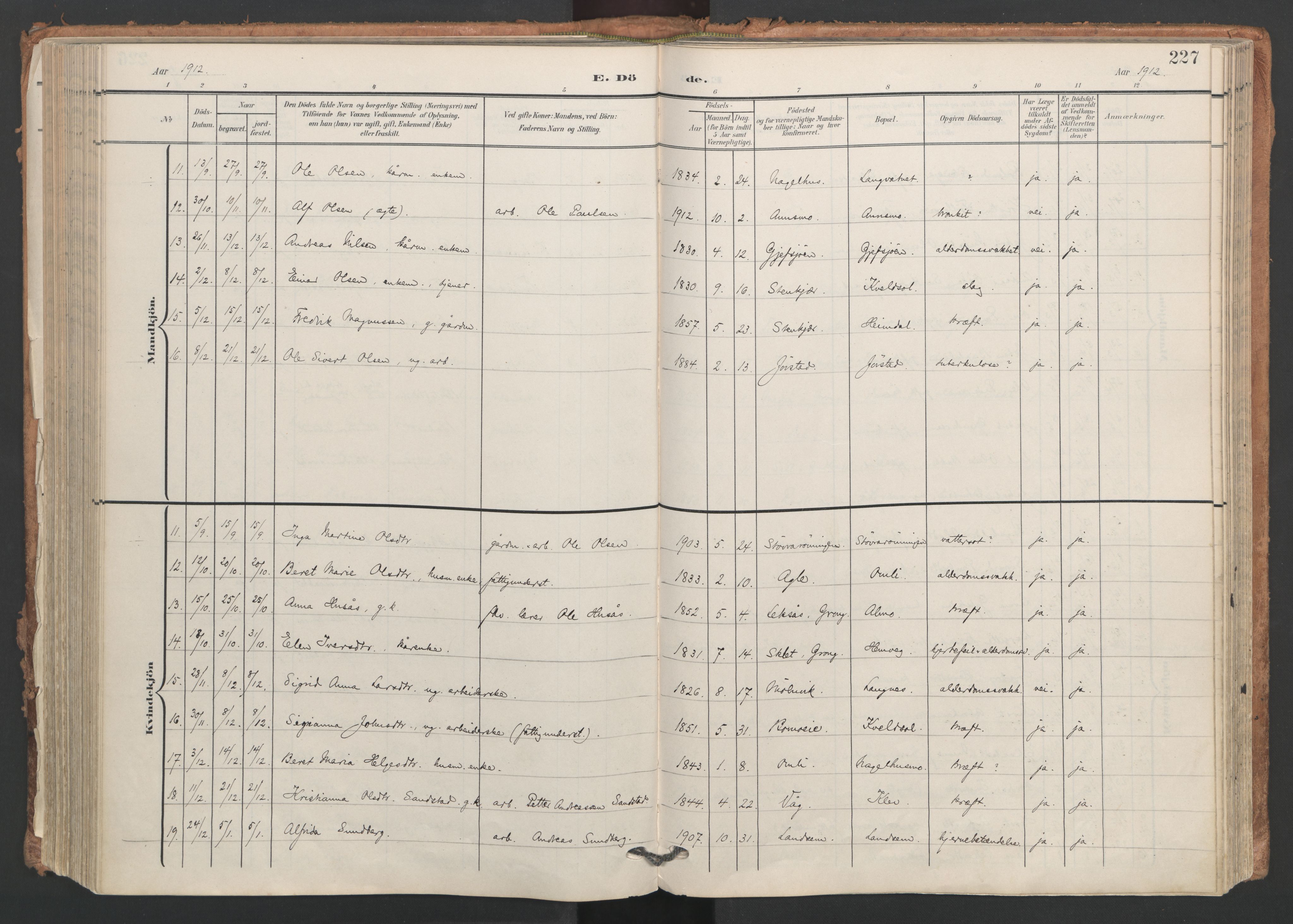 Ministerialprotokoller, klokkerbøker og fødselsregistre - Nord-Trøndelag, SAT/A-1458/749/L0477: Parish register (official) no. 749A11, 1902-1927, p. 227