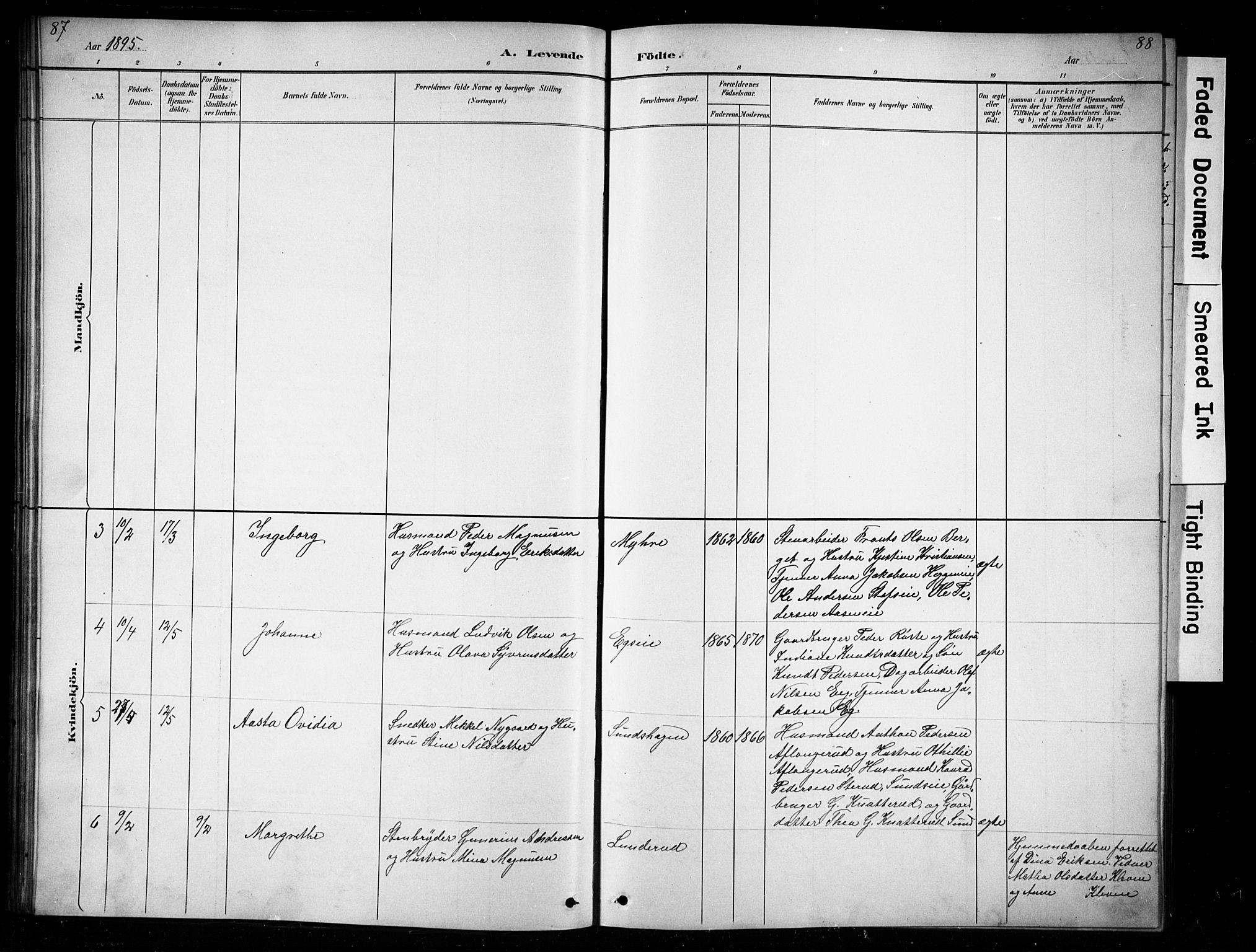 Nes prestekontor, Hedmark, AV/SAH-PREST-020/L/La/L0016: Parish register (copy) no. 16, 1883-1900, p. 87-88