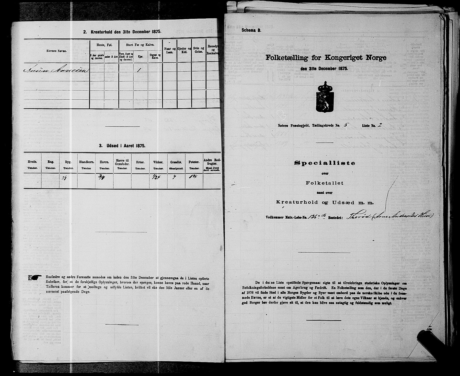 SAKO, 1875 census for 0722P Nøtterøy, 1875, p. 970