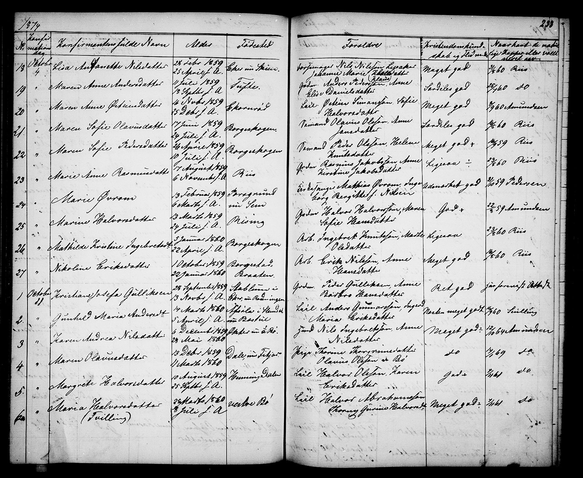 Gjerpen kirkebøker, AV/SAKO-A-265/G/Ga/L0001: Parish register (copy) no. I 1, 1864-1882, p. 233