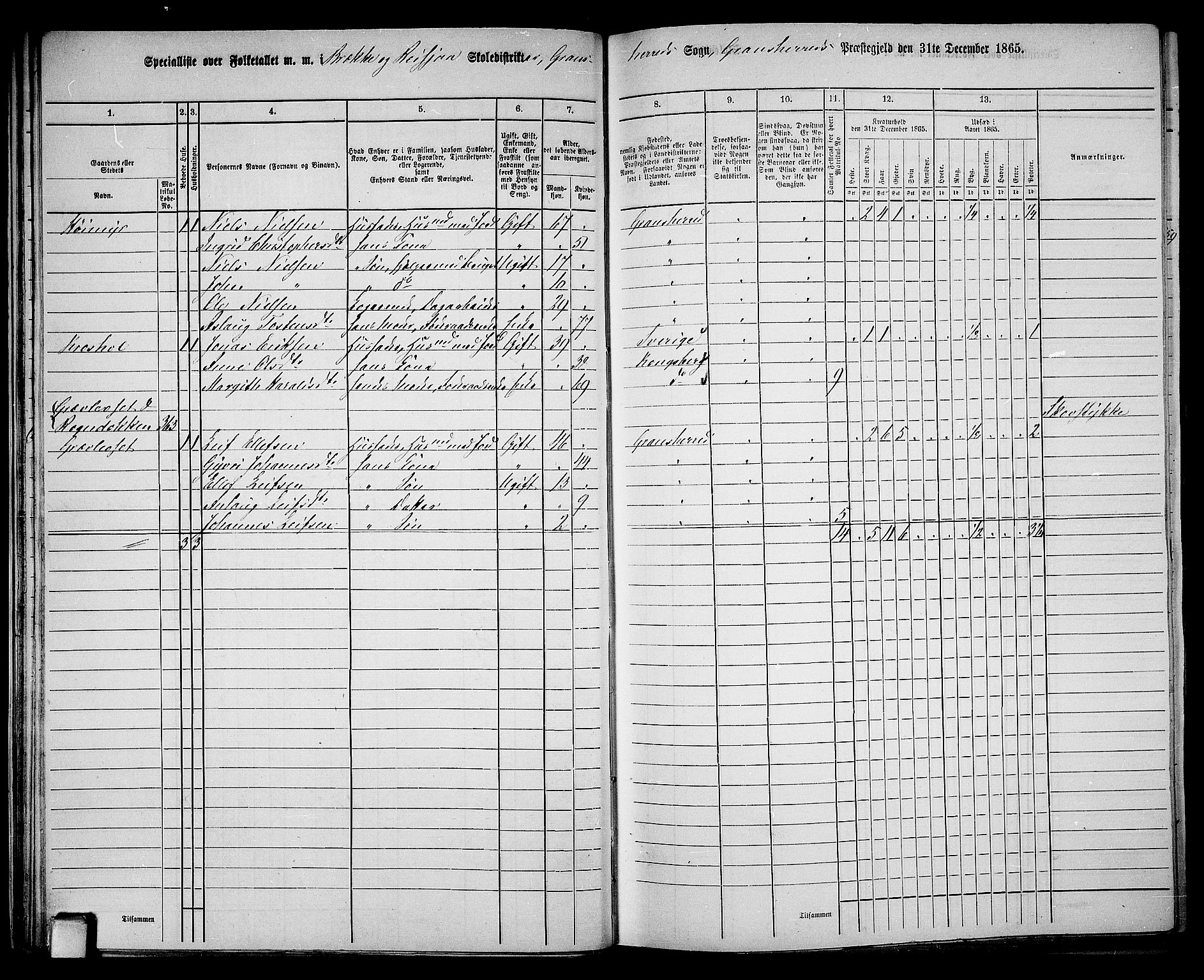 RA, 1865 census for Gransherad, 1865, p. 31