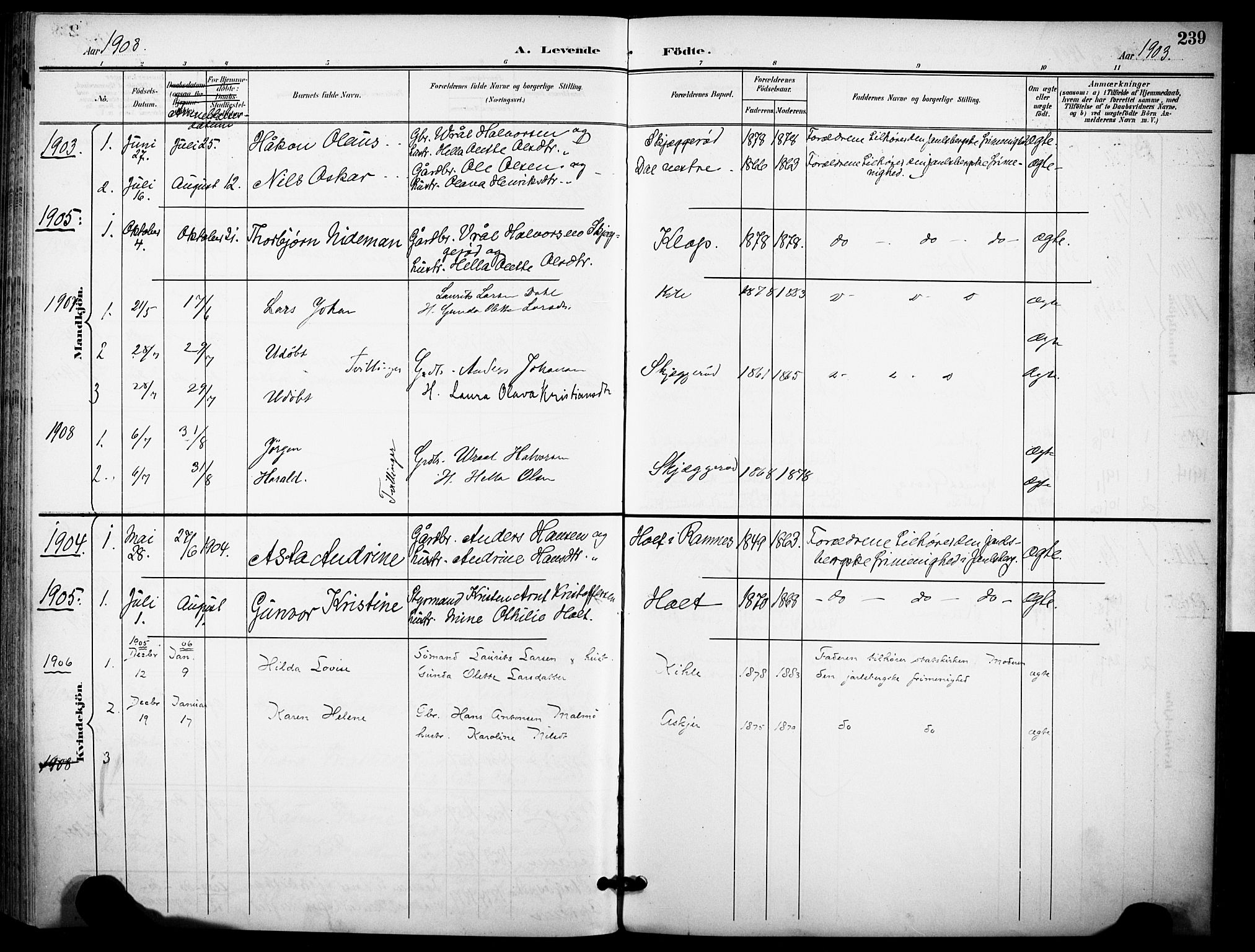 Ramnes kirkebøker, AV/SAKO-A-314/F/Fa/L0008: Parish register (official) no. I 8, 1896-1913, p. 239