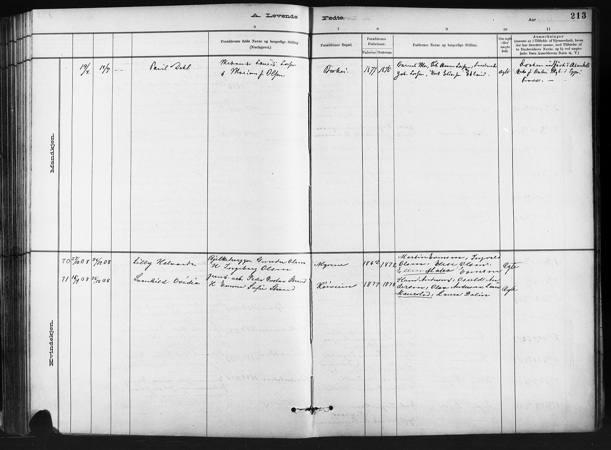 Barbu sokneprestkontor, SAK/1111-0003/F/Fb/L0002: Parish register (copy) no. B 2, 1890-1922, p. 213