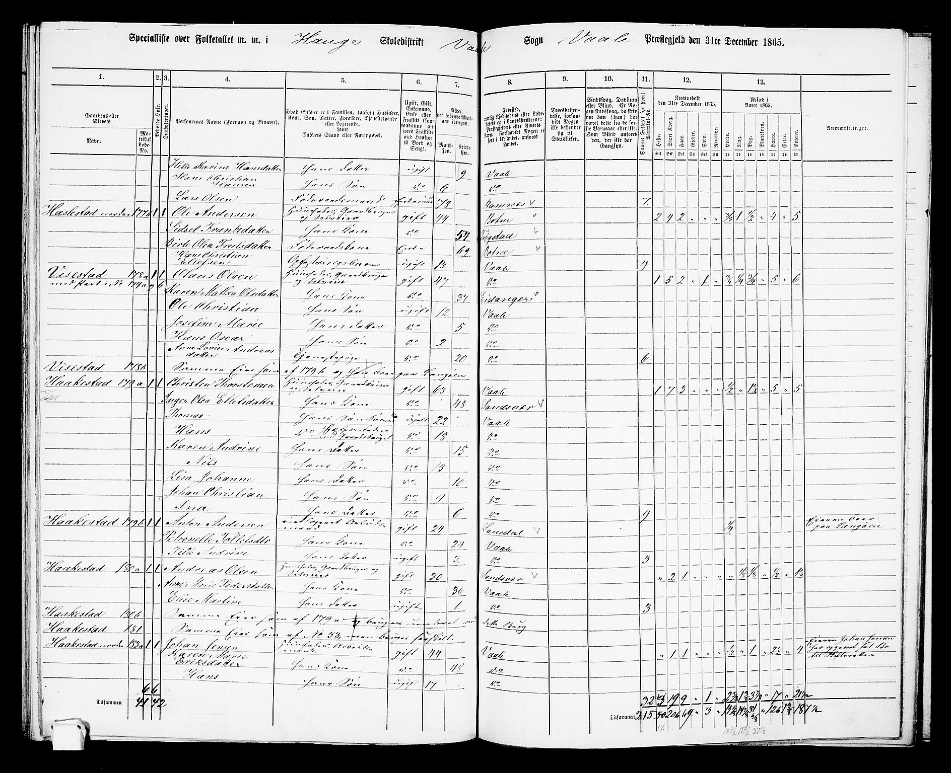 RA, 1865 census for Våle, 1865, p. 65