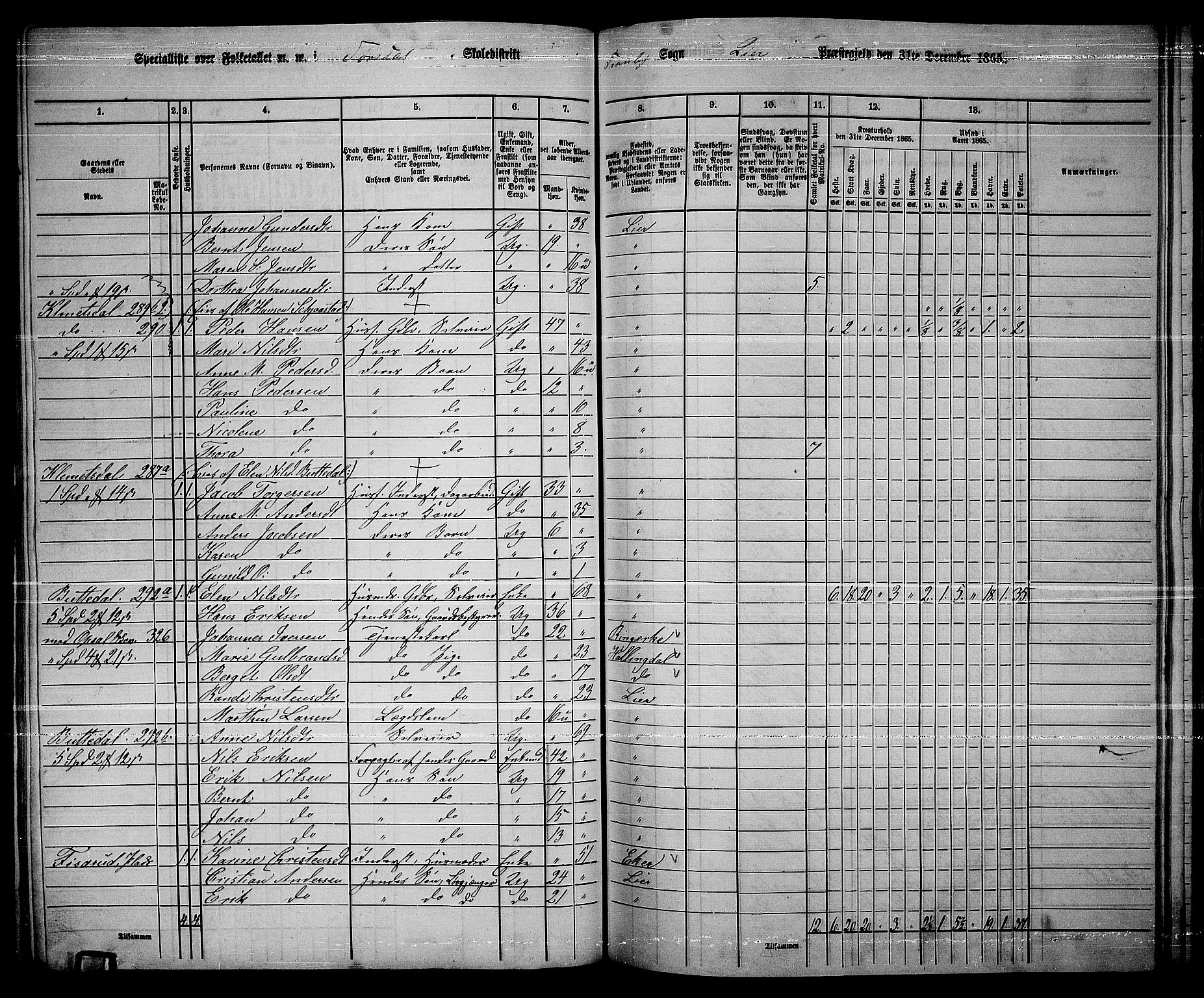 RA, 1865 census for Lier, 1865, p. 159