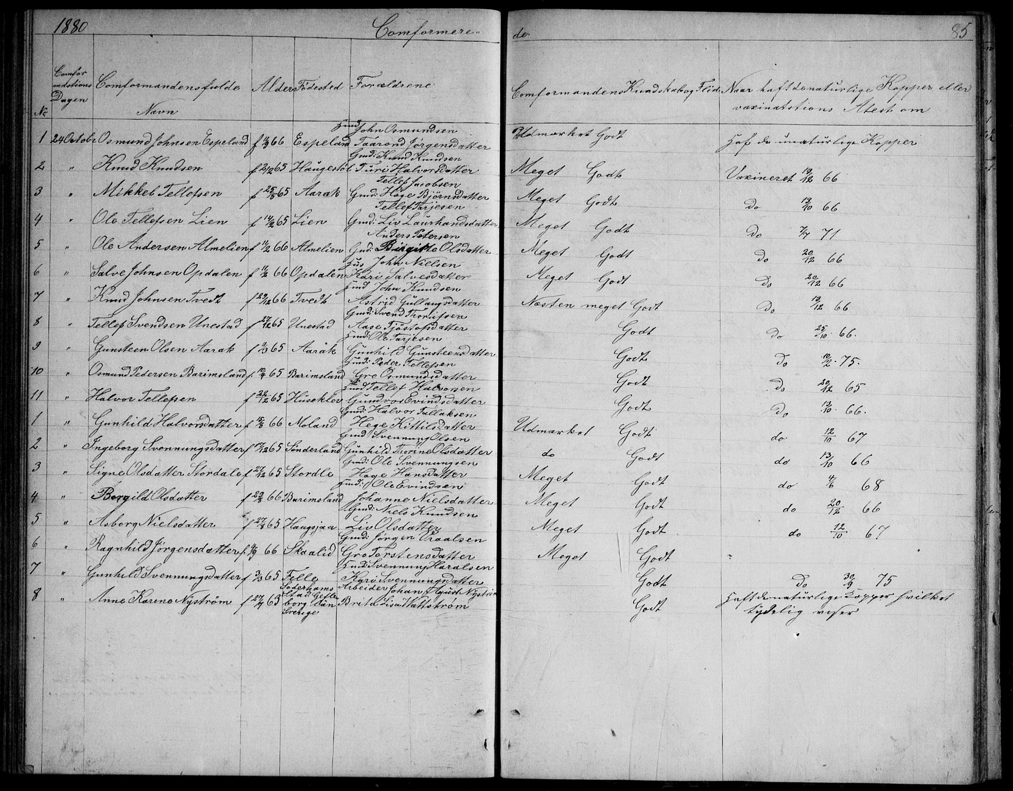 Nissedal kirkebøker, SAKO/A-288/G/Gb/L0002: Parish register (copy) no. II 2, 1863-1892, p. 85