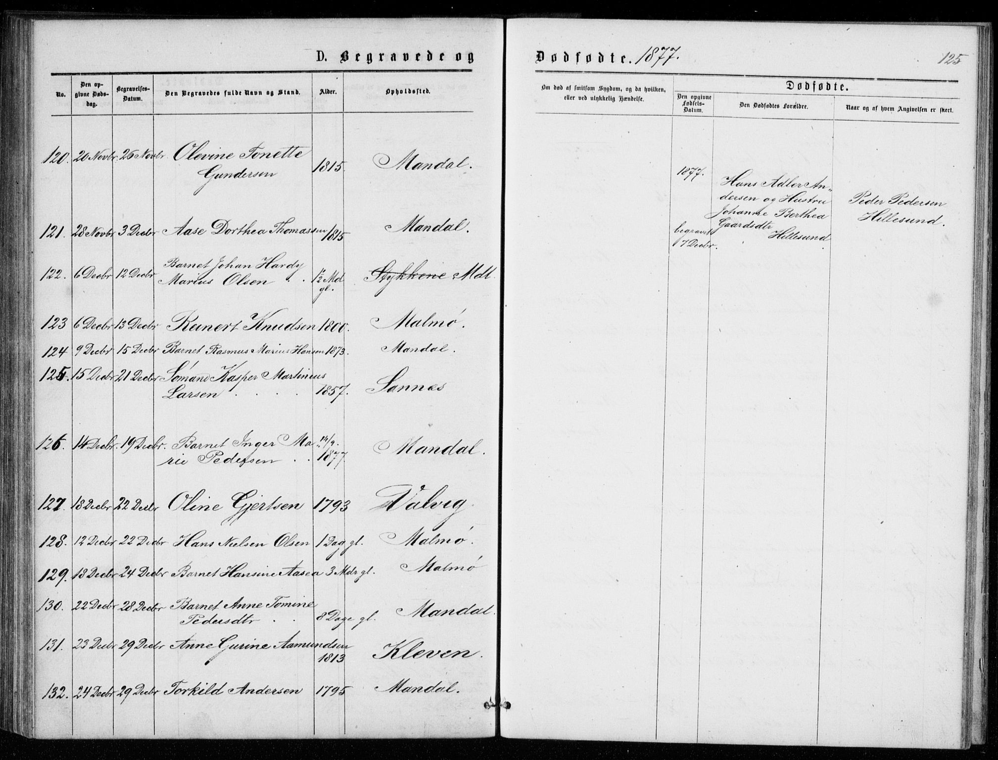 Mandal sokneprestkontor, AV/SAK-1111-0030/F/Fb/Fba/L0010: Parish register (copy) no. B 4, 1876-1880, p. 125