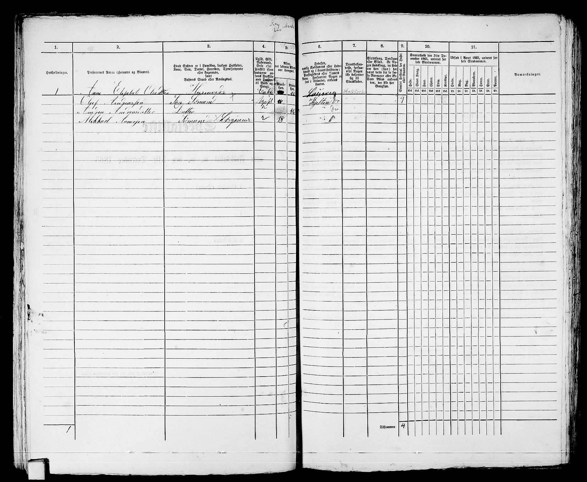 RA, 1865 census for Larvik, 1865, p. 136