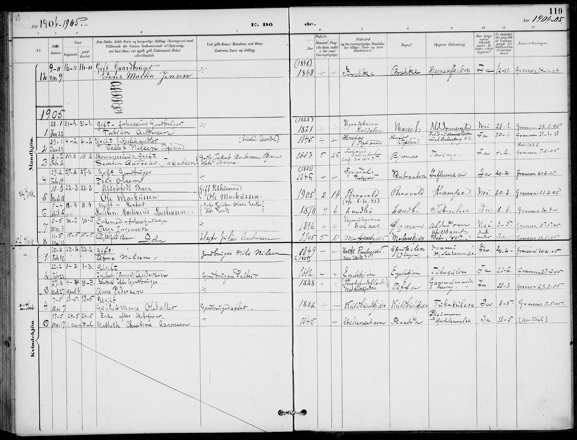 Austre Moland sokneprestkontor, SAK/1111-0001/F/Fa/Faa/L0011: Parish register (official) no. A 11, 1894-1915, p. 119
