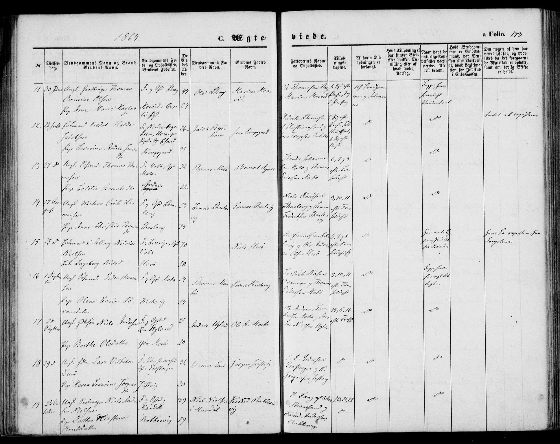 Oddernes sokneprestkontor, AV/SAK-1111-0033/F/Fa/Faa/L0008: Parish register (official) no. A 8, 1864-1880, p. 173