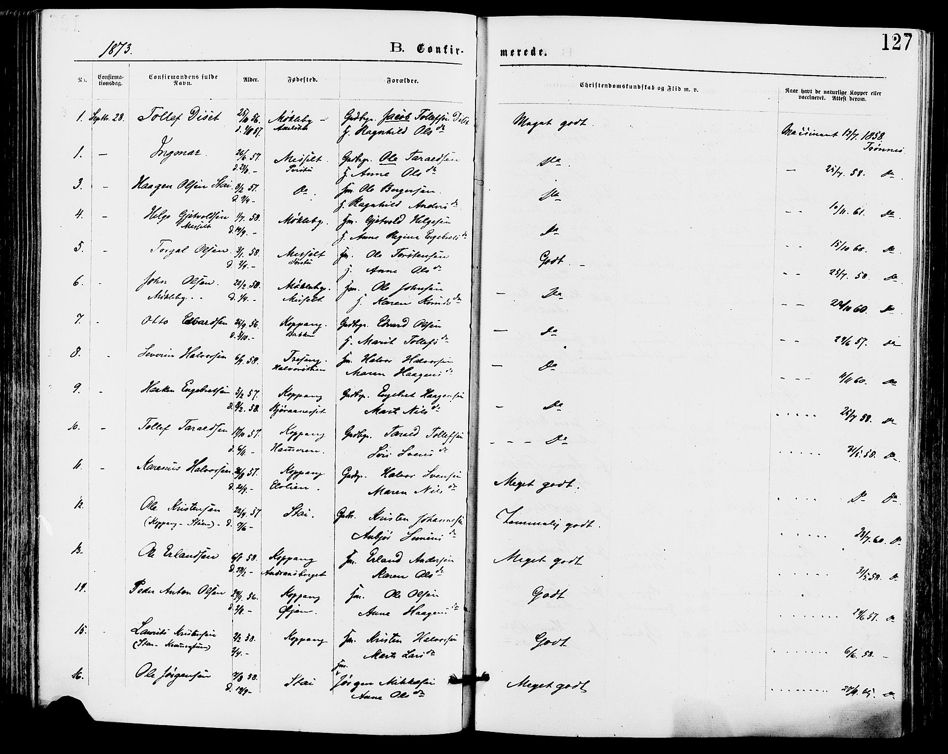 Stor-Elvdal prestekontor, AV/SAH-PREST-052/H/Ha/Haa/L0001: Parish register (official) no. 1, 1871-1882, p. 127