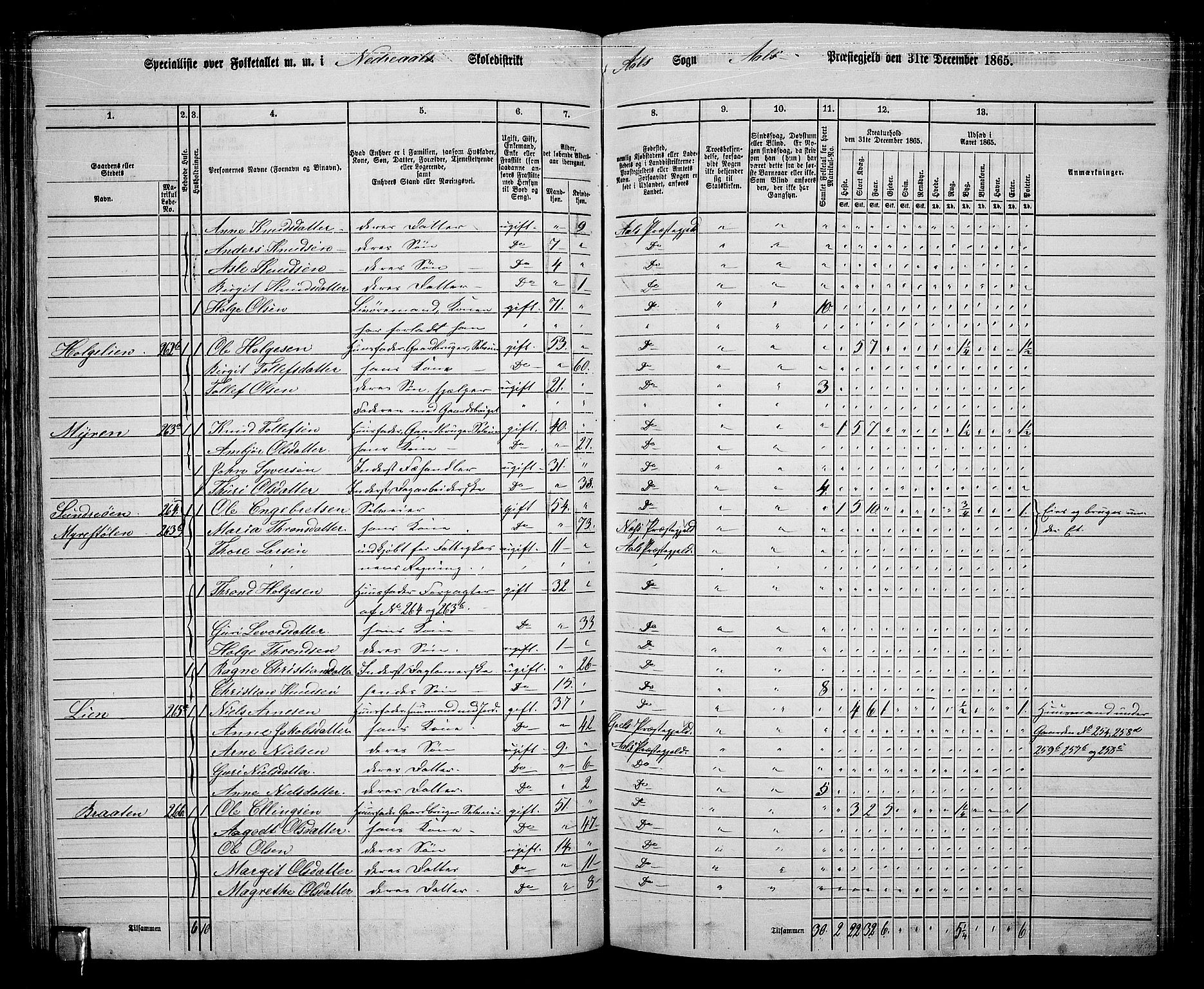 RA, 1865 census for Ål, 1865, p. 144