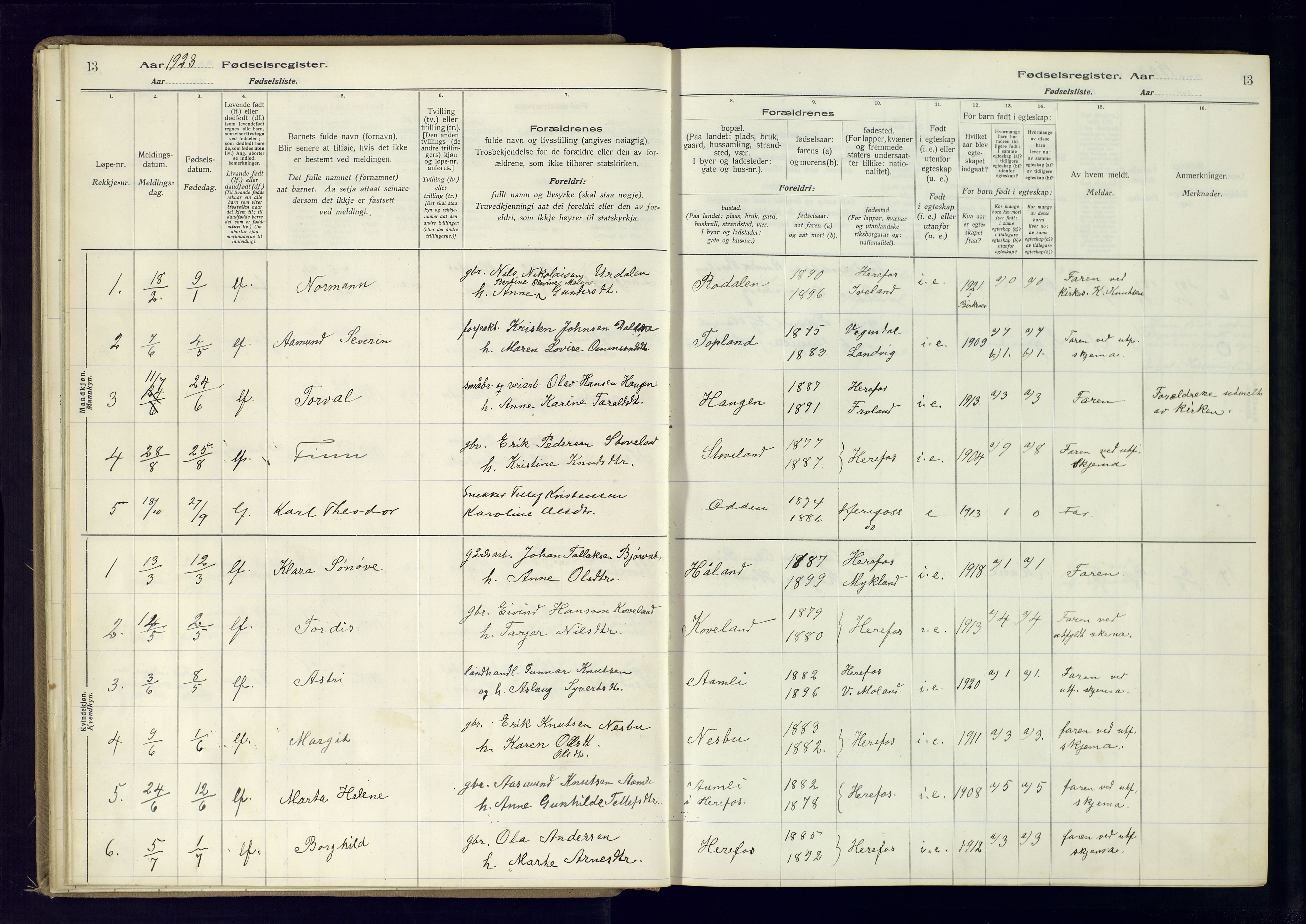 Herefoss sokneprestkontor, AV/SAK-1111-0019/J/Ja/L0001: Birth register no. II.6.10, 1916-1982, p. 13