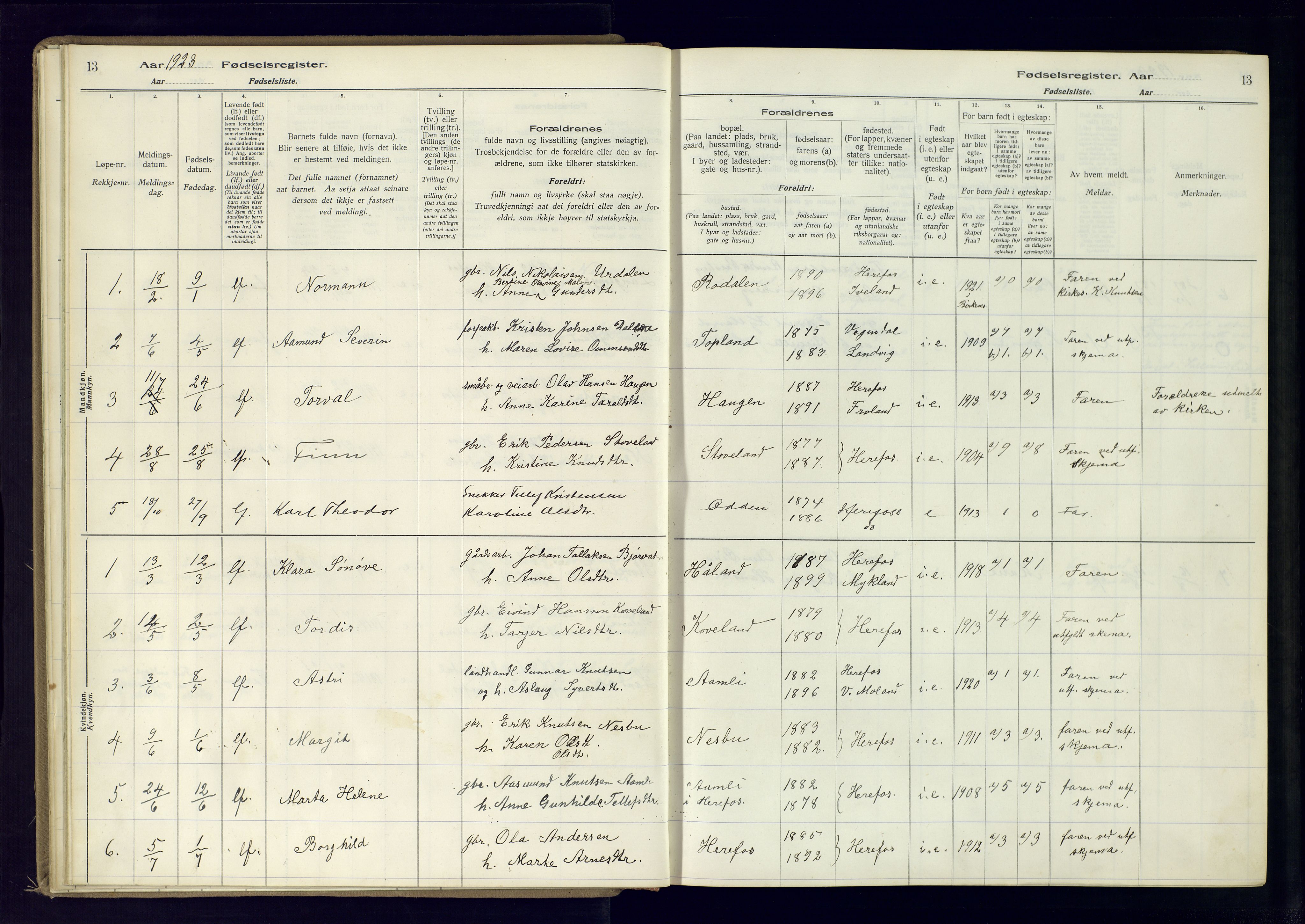 Herefoss sokneprestkontor, SAK/1111-0019/J/Ja/L0001: Birth register no. II.6.10, 1916-1982, p. 13