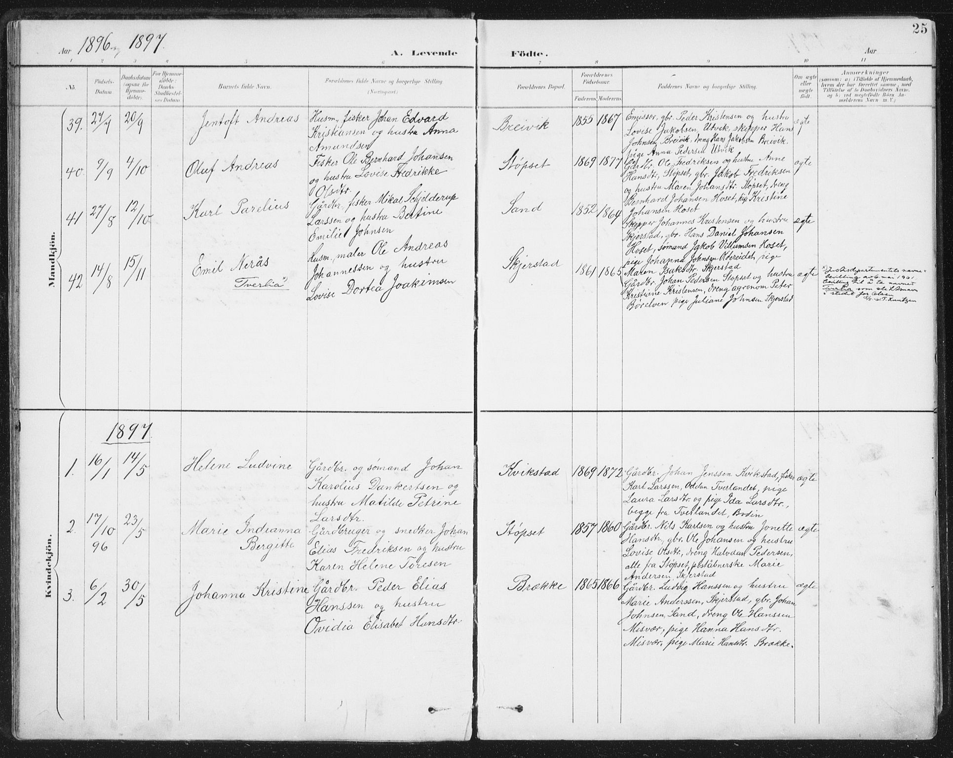 Ministerialprotokoller, klokkerbøker og fødselsregistre - Nordland, AV/SAT-A-1459/852/L0741: Parish register (official) no. 852A11, 1894-1917, p. 25