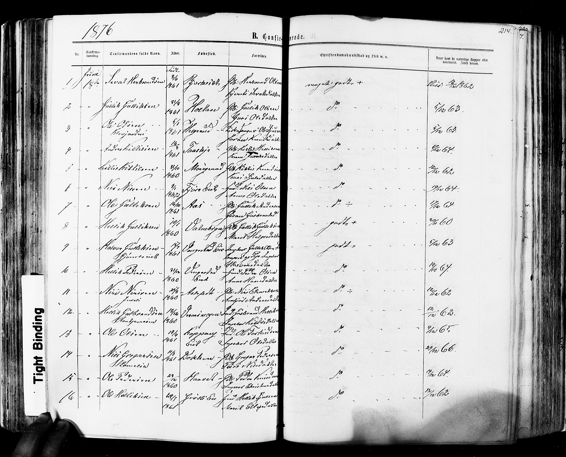 Flesberg kirkebøker, SAKO/A-18/F/Fa/L0007: Parish register (official) no. I 7, 1861-1878, p. 214
