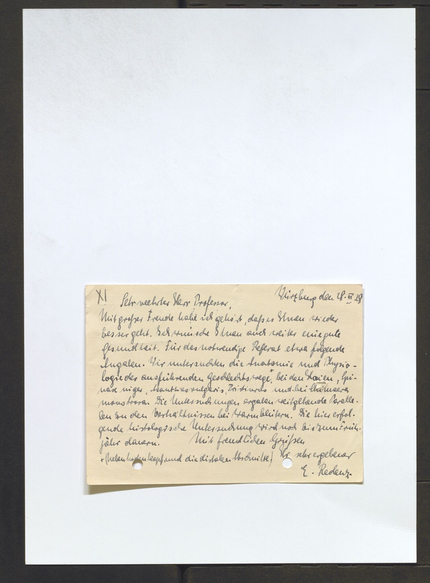 Bergens Museum, AV/SAB-A-17301/13/D/L0002: Korrespondanse , 1928-1940, p. 174
