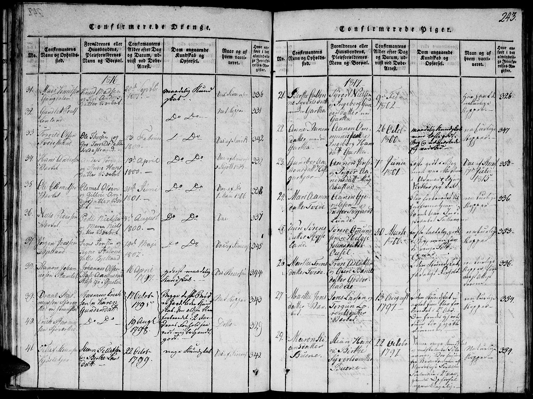 Holt sokneprestkontor, AV/SAK-1111-0021/F/Fb/L0006: Parish register (copy) no. B 6, 1813-1823, p. 243