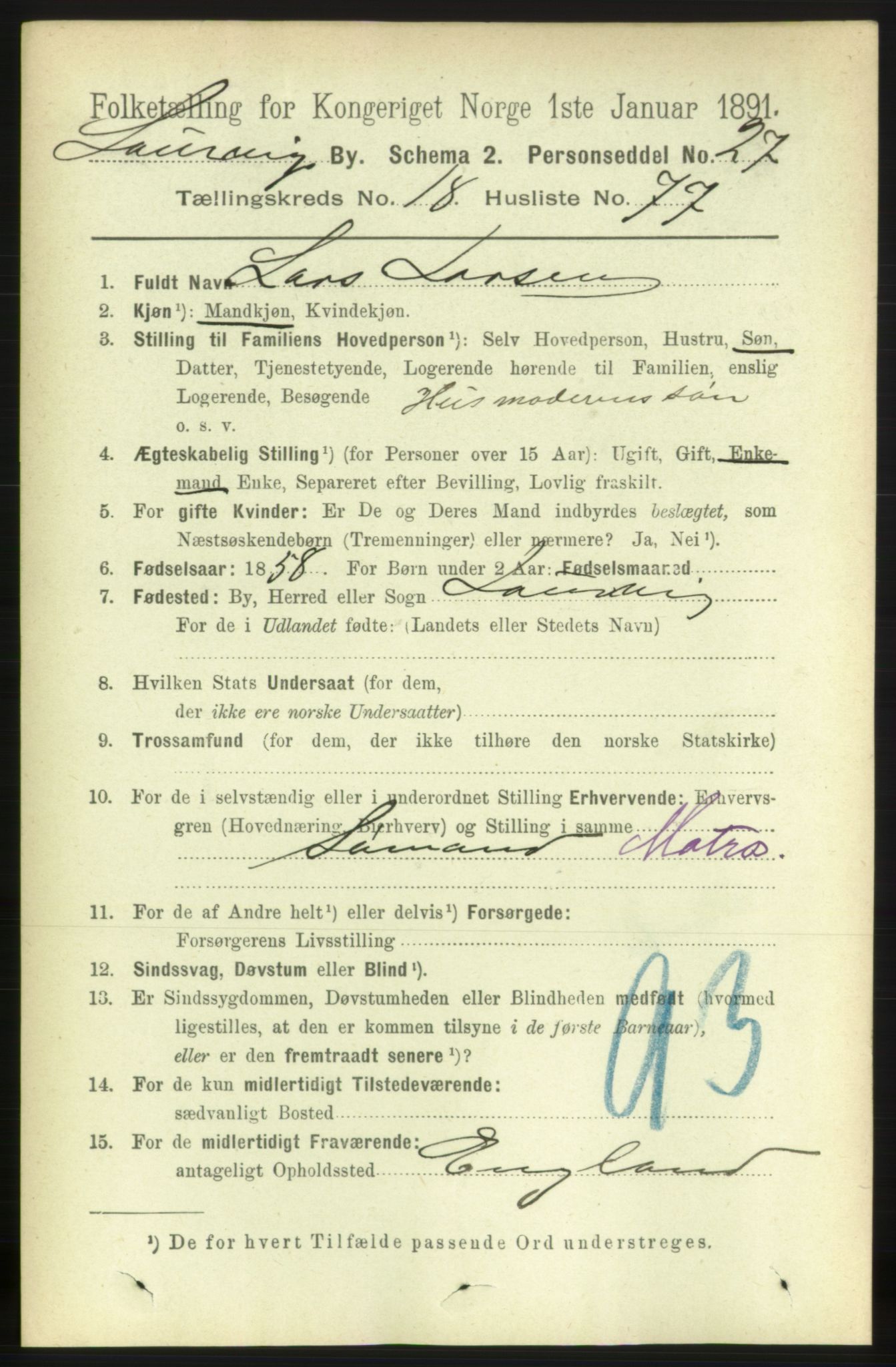 RA, 1891 census for 0707 Larvik, 1891, p. 13875