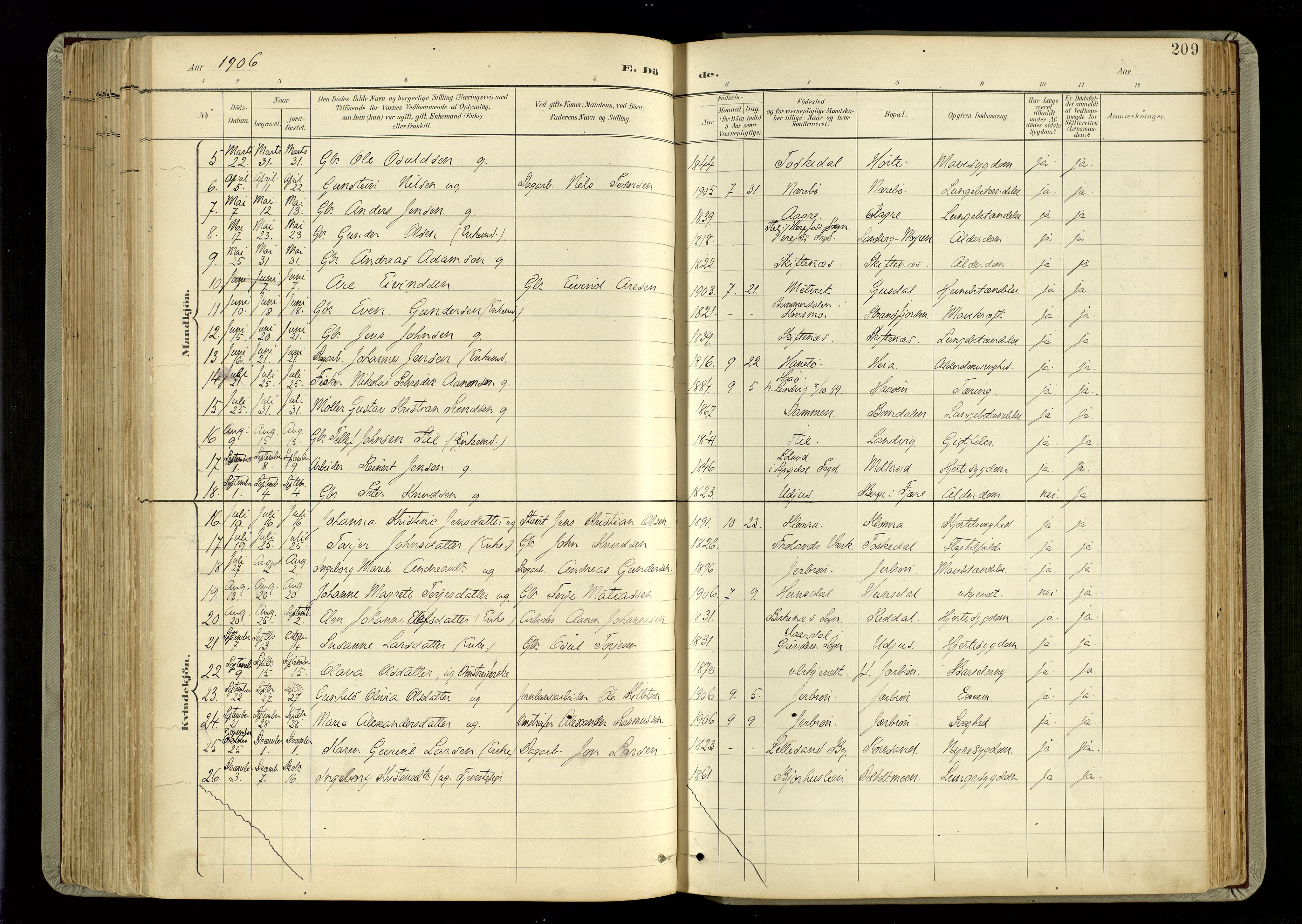 Hommedal sokneprestkontor, SAK/1111-0023/F/Fa/Fab/L0007: Parish register (official) no. A 7, 1898-1924, p. 209