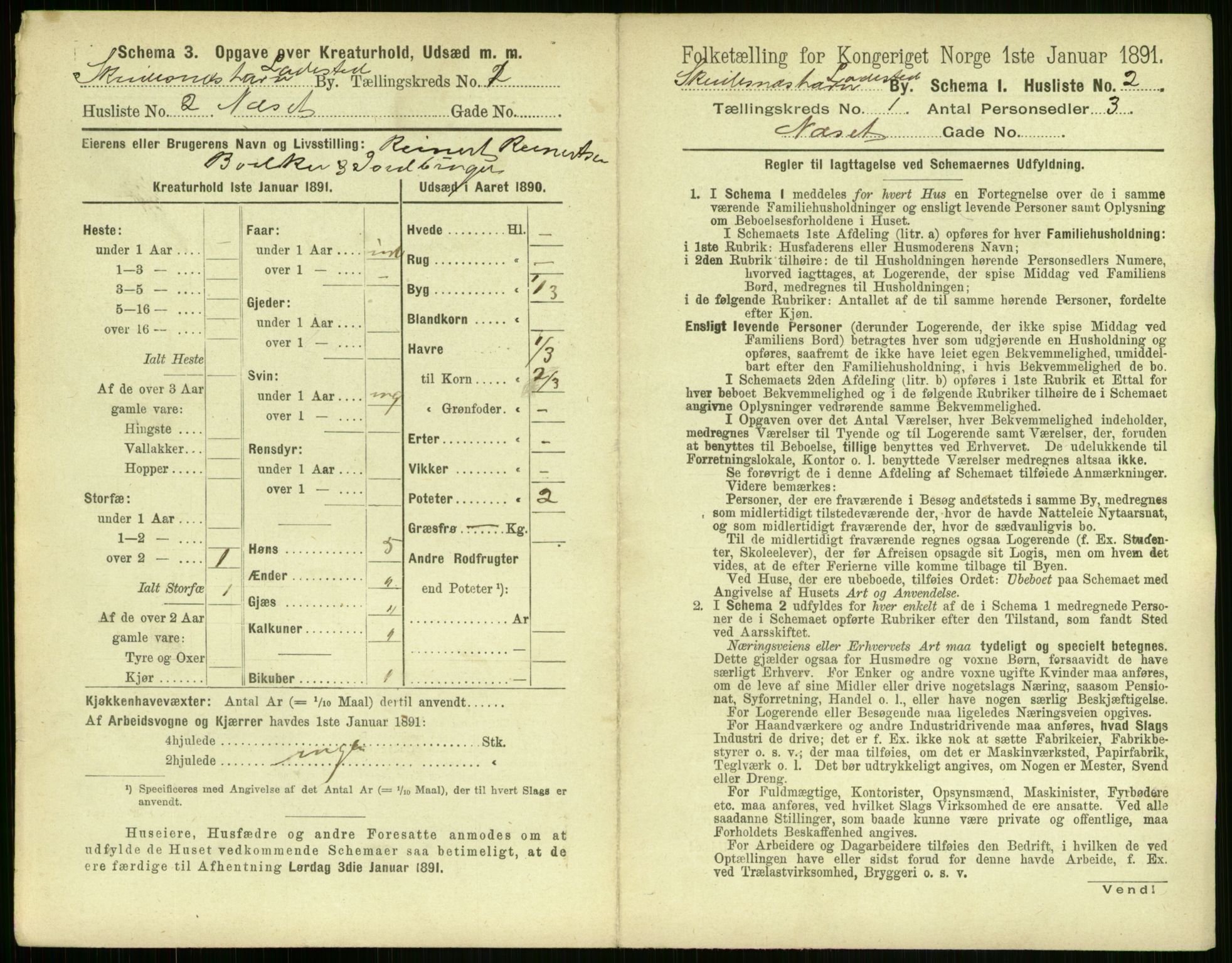 RA, 1891 census for 1104 Skudeneshavn, 1891, p. 18