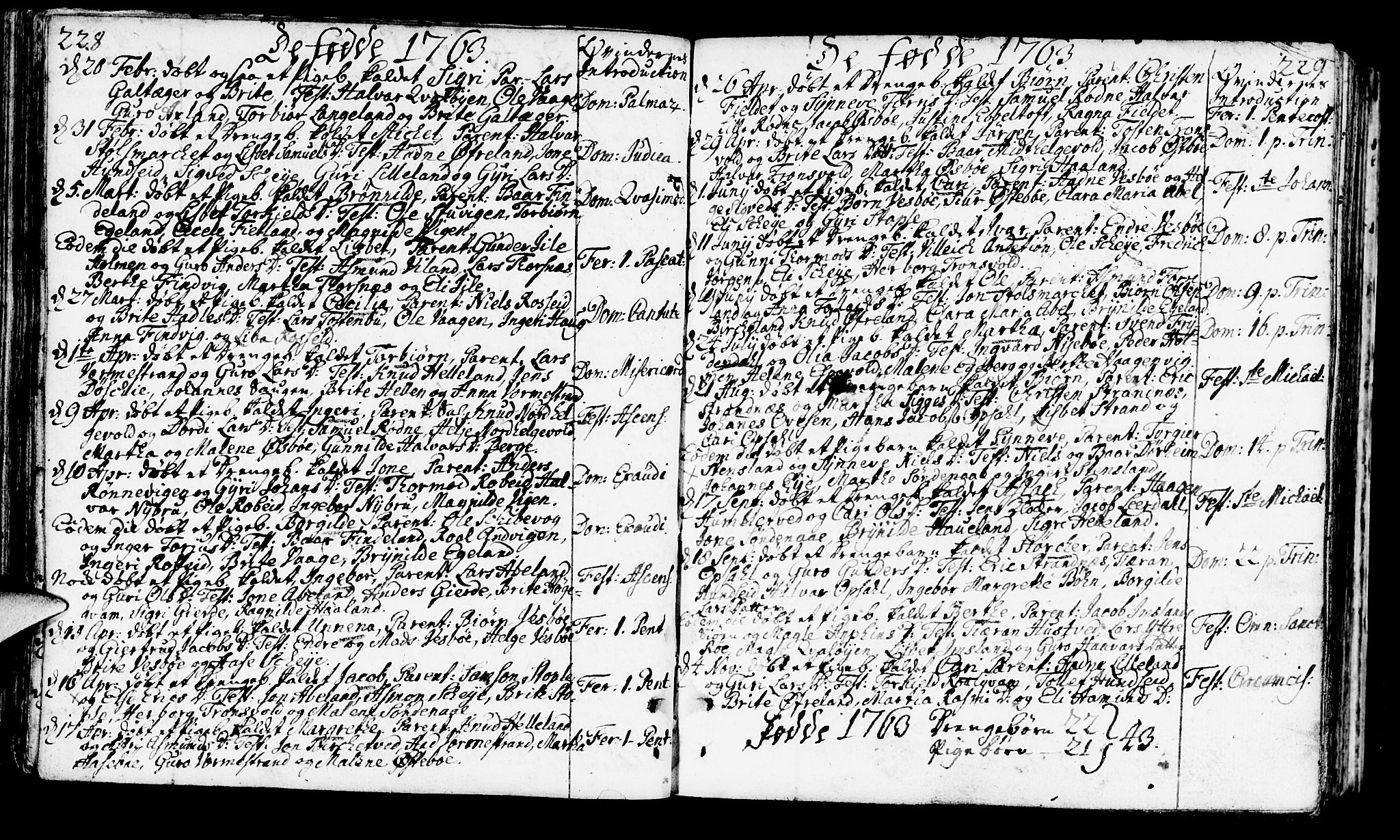 Vikedal sokneprestkontor, SAST/A-101840/01/IV: Parish register (official) no. A 1, 1737-1778, p. 228-229