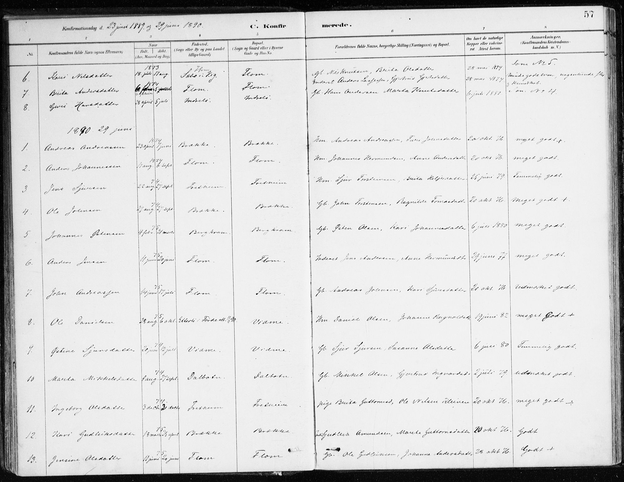 Aurland sokneprestembete, SAB/A-99937/H/Ha/Hac/L0001: Parish register (official) no. C 1, 1880-1921, p. 57