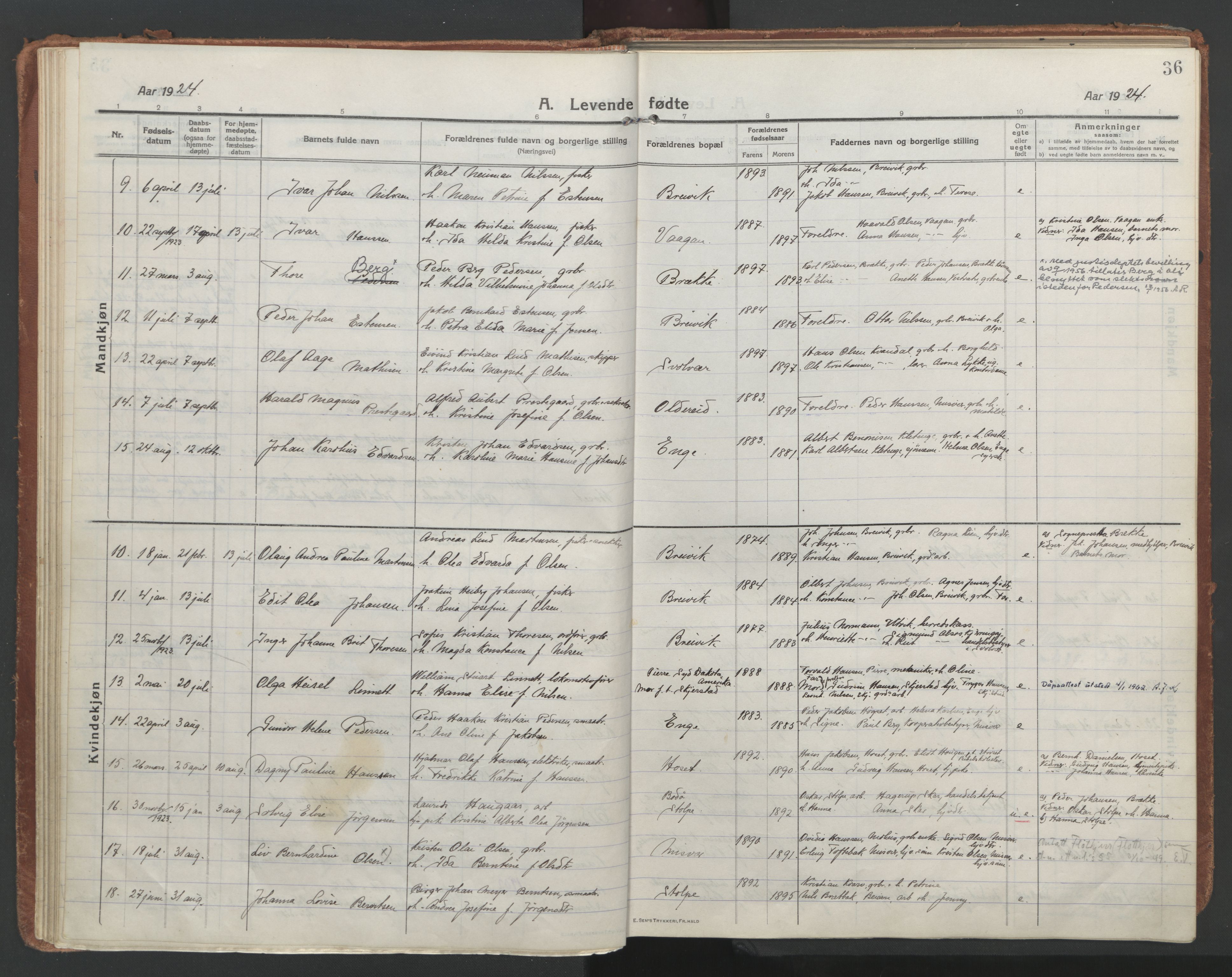 Ministerialprotokoller, klokkerbøker og fødselsregistre - Nordland, SAT/A-1459/852/L0748: Parish register (official) no. 852A18, 1913-1932, p. 36