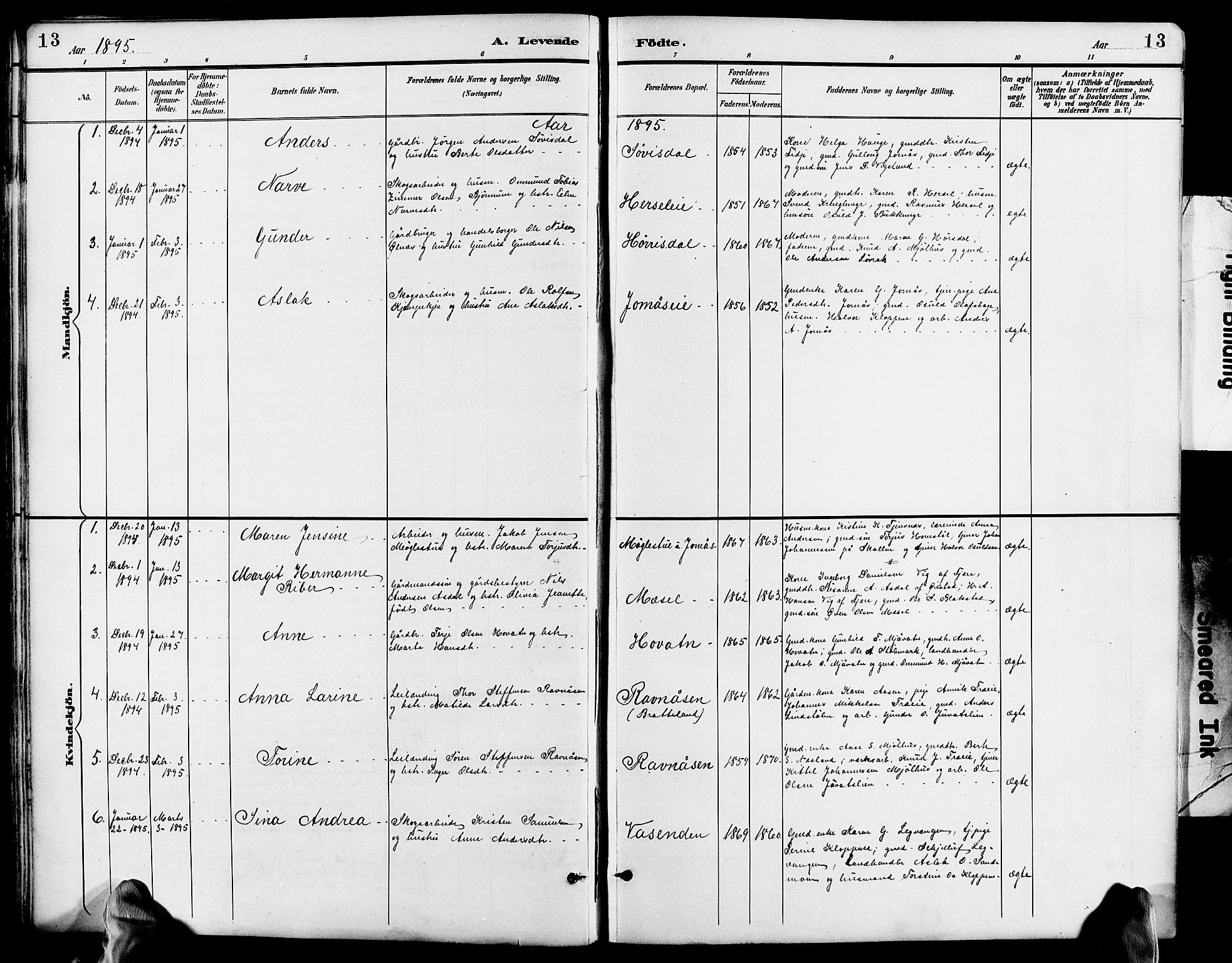 Froland sokneprestkontor, AV/SAK-1111-0013/F/Fb/L0010: Parish register (copy) no. B 10, 1893-1920, p. 13