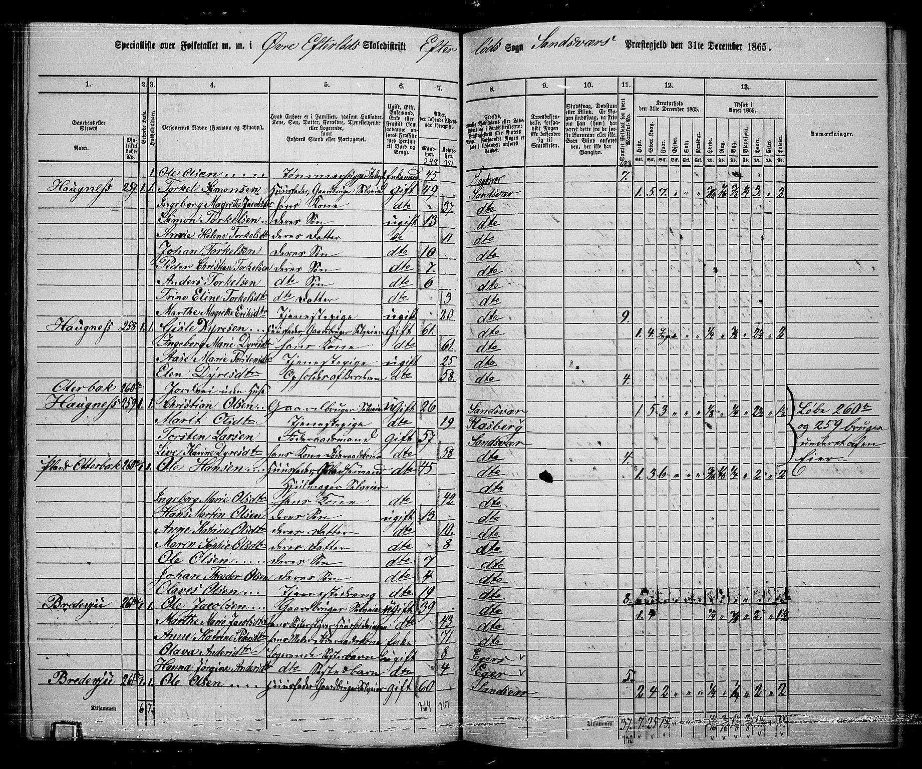 RA, 1865 census for Sandsvær, 1865, p. 114