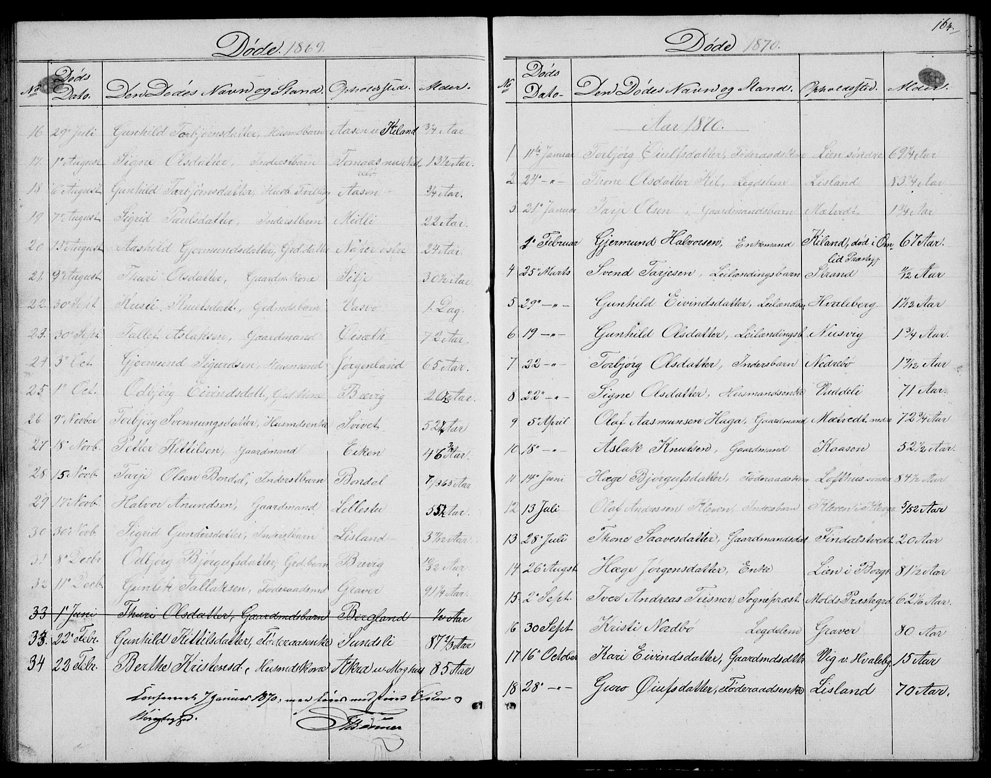 Fyresdal kirkebøker, SAKO/A-263/G/Ga/L0004: Parish register (copy) no. I 4, 1864-1892, p. 164
