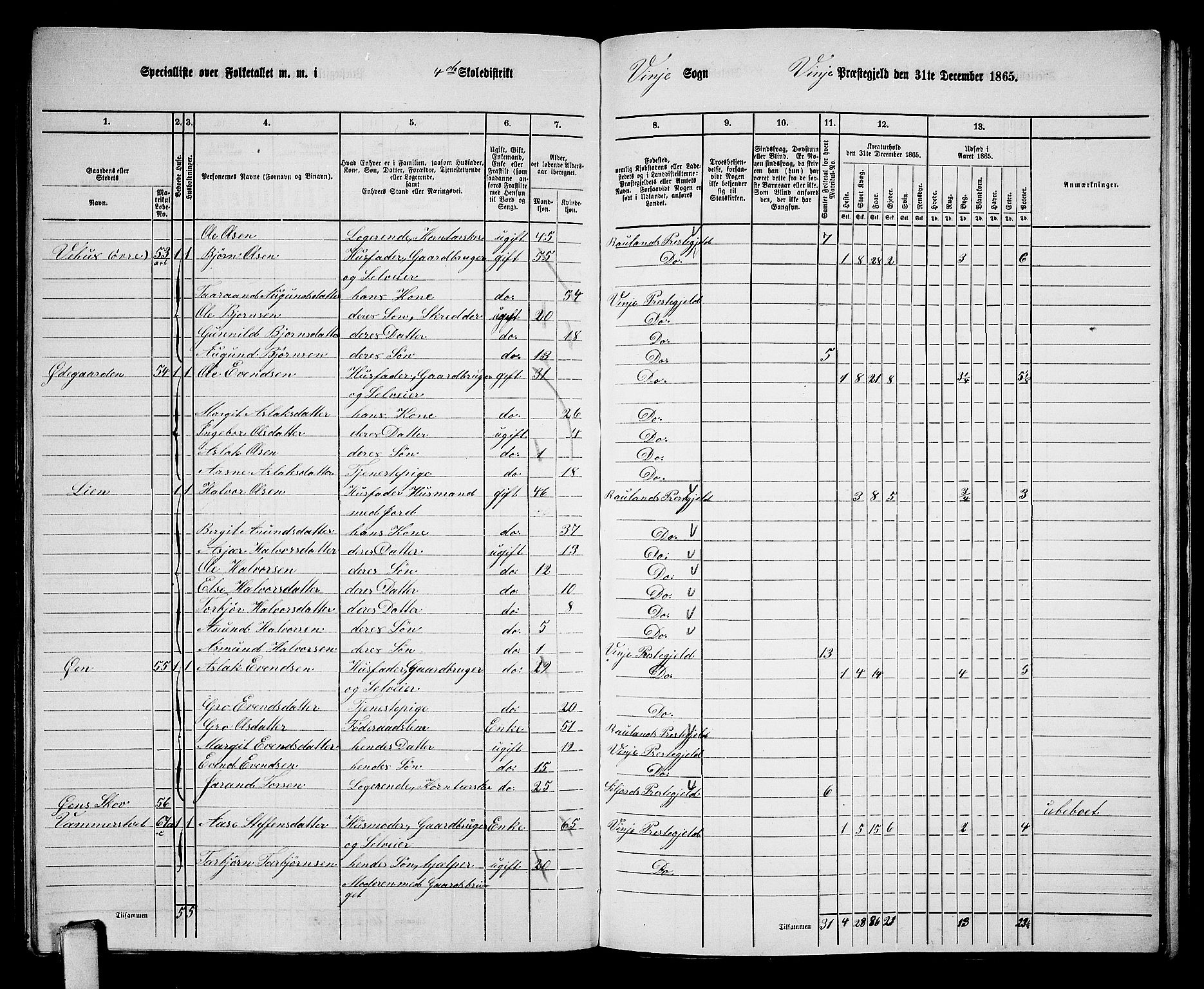 RA, 1865 census for Vinje, 1865, p. 40