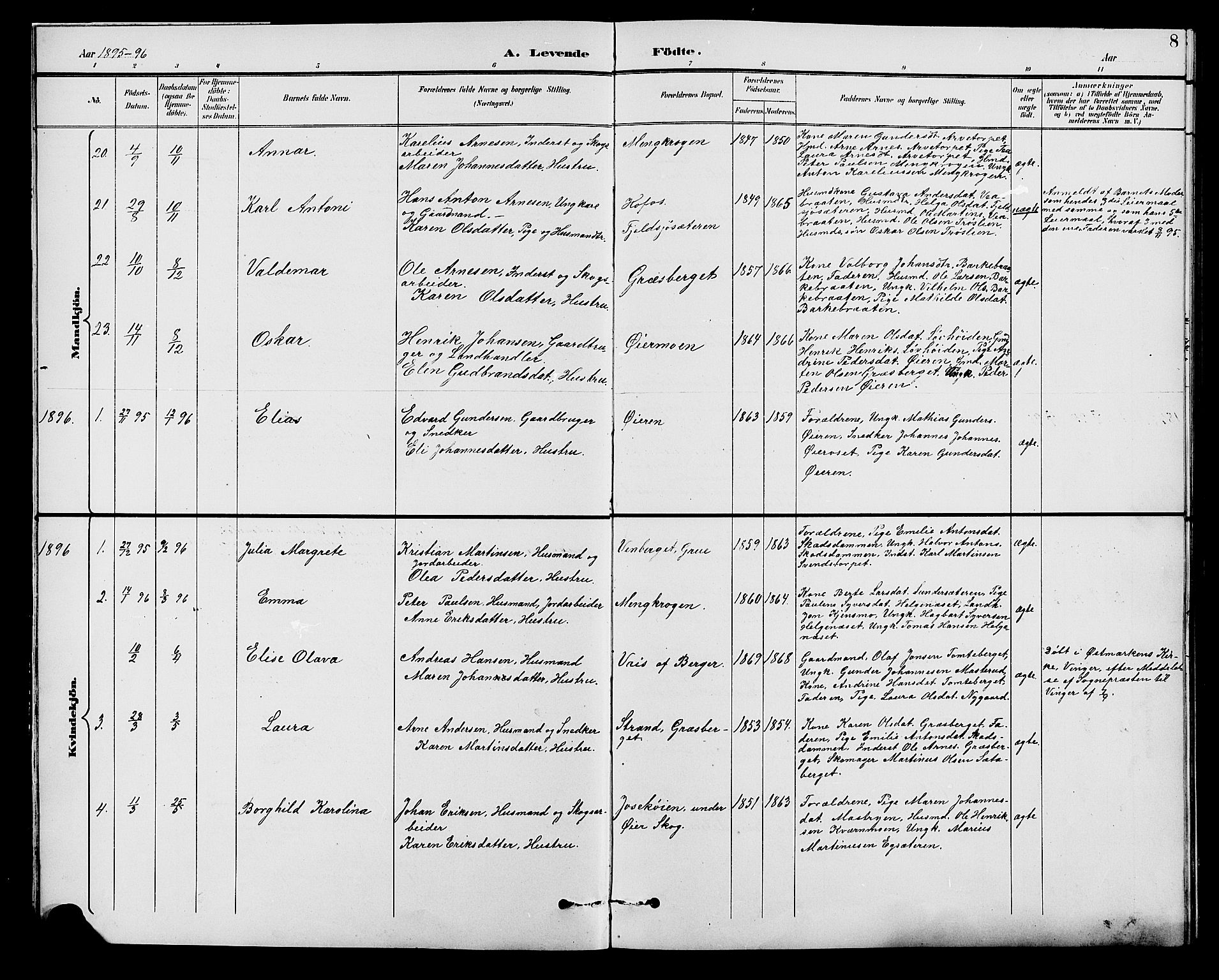 Brandval prestekontor, SAH/PREST-034/H/Ha/Hab/L0001: Parish register (copy) no. 1, 1895-1910, p. 8