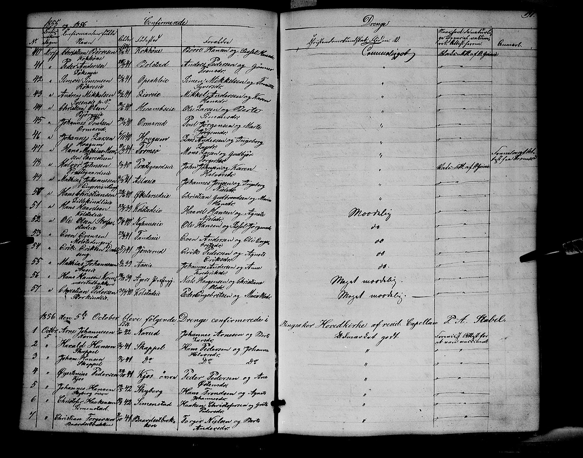 Ringsaker prestekontor, SAH/PREST-014/K/Ka/L0009: Parish register (official) no. 9, 1850-1860, p. 191