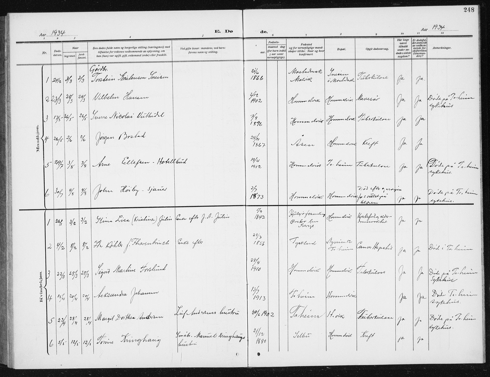 Ministerialprotokoller, klokkerbøker og fødselsregistre - Sør-Trøndelag, SAT/A-1456/617/L0431: Parish register (copy) no. 617C02, 1910-1936, p. 248