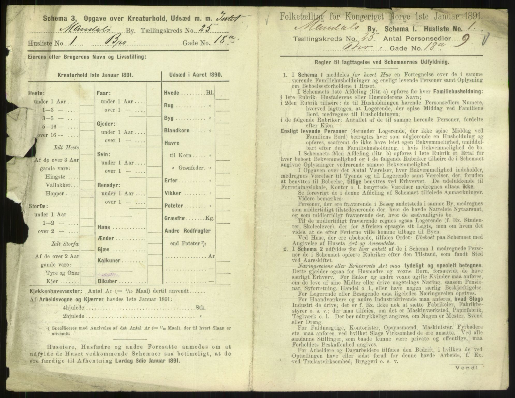 RA, 1891 census for 1002 Mandal, 1891, p. 1109