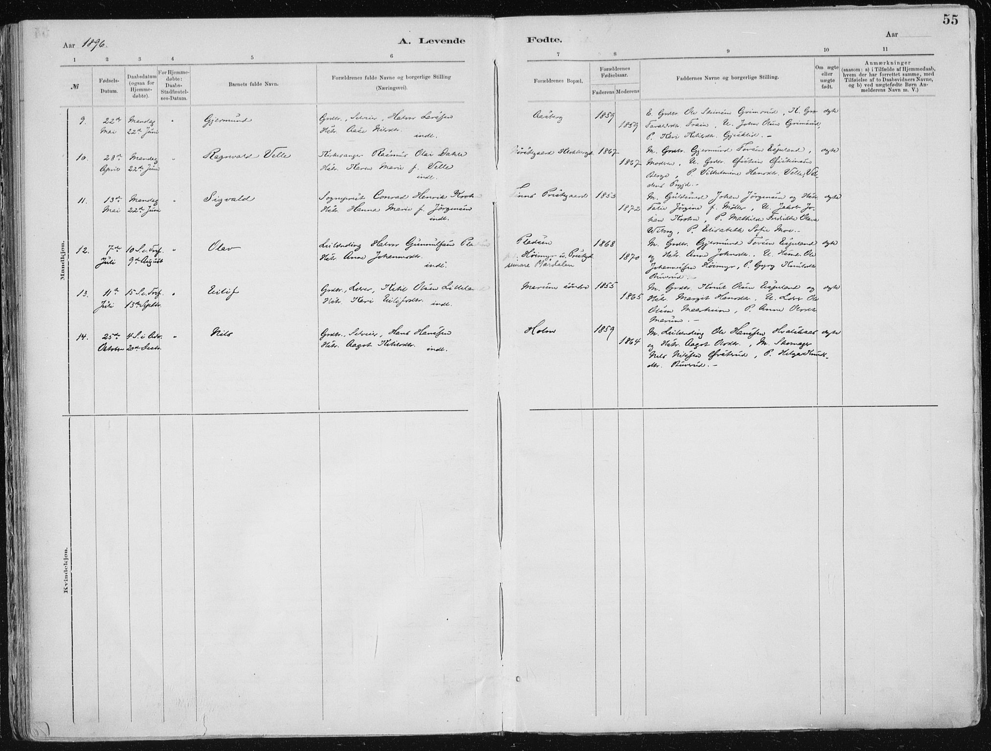 Tinn kirkebøker, AV/SAKO-A-308/F/Fa/L0007: Parish register (official) no. I 7, 1878-1922, p. 55